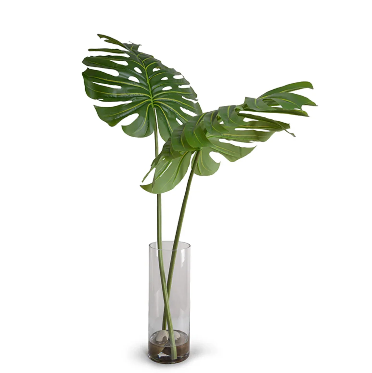 Monstera Leaves in Glass - Image 1
