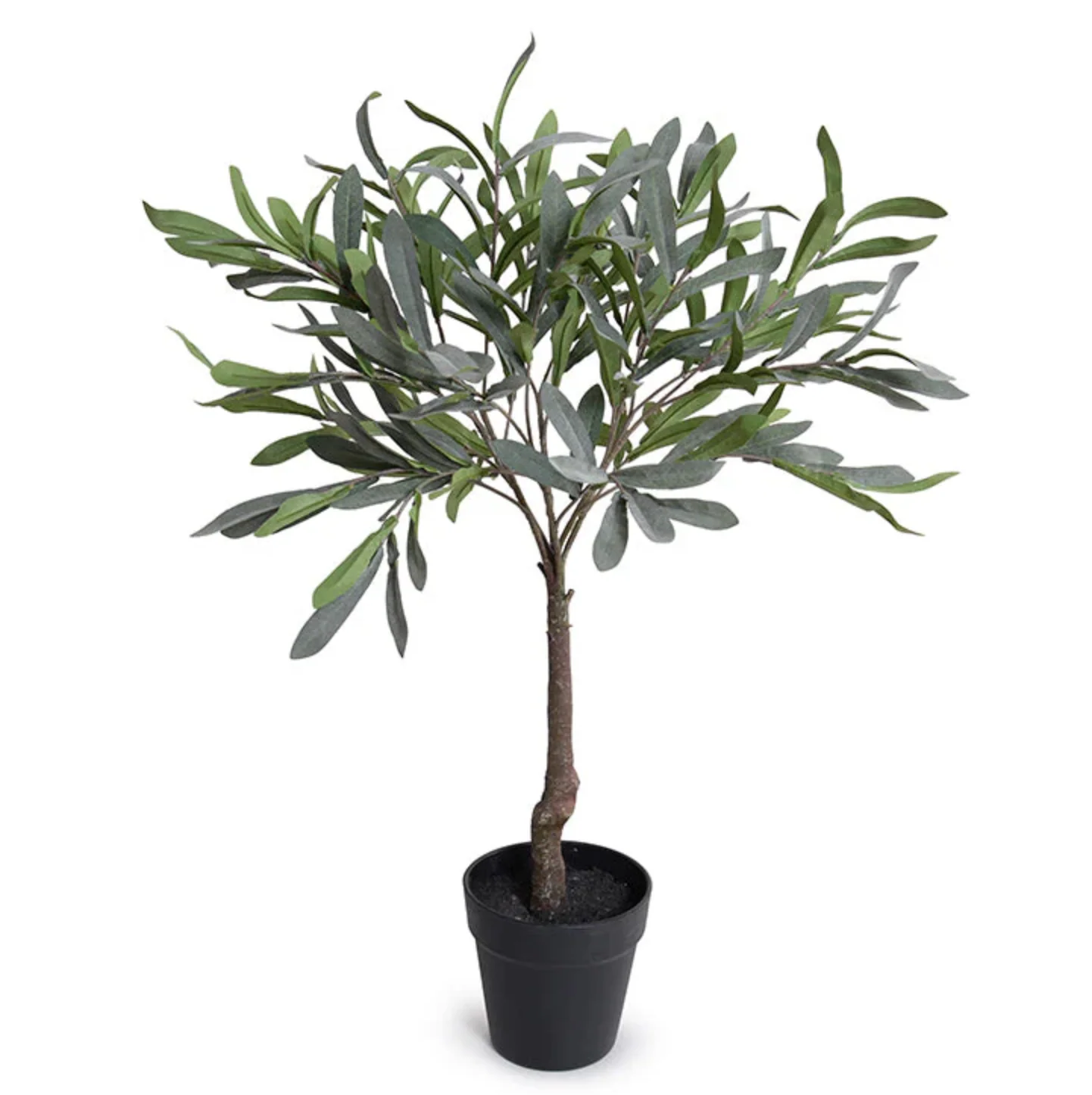 Olive Leaf Topiary - Image 2