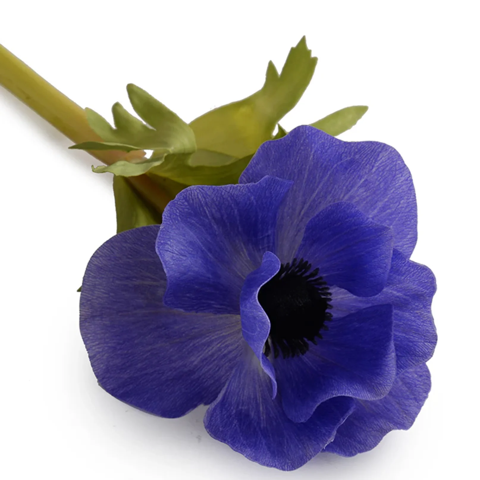Anemone Stem - Image 2