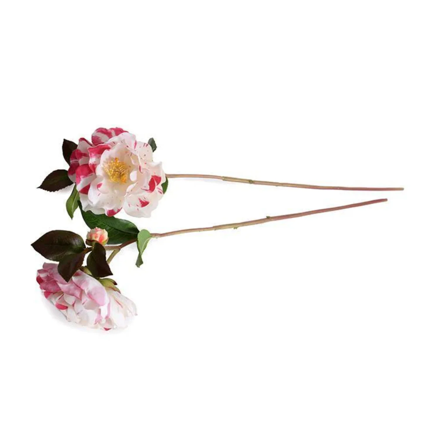 Camellia Stem - Image 1