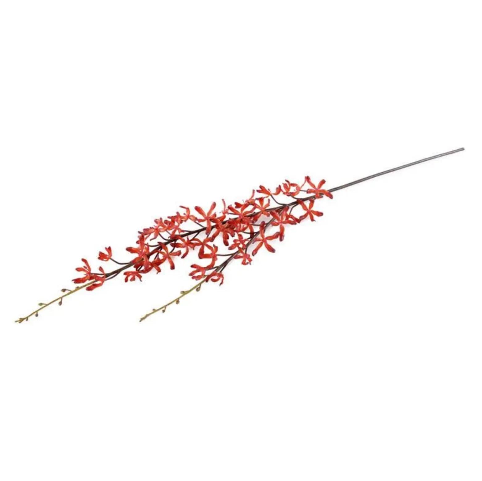 Aranda Orchid Spray - Image 1