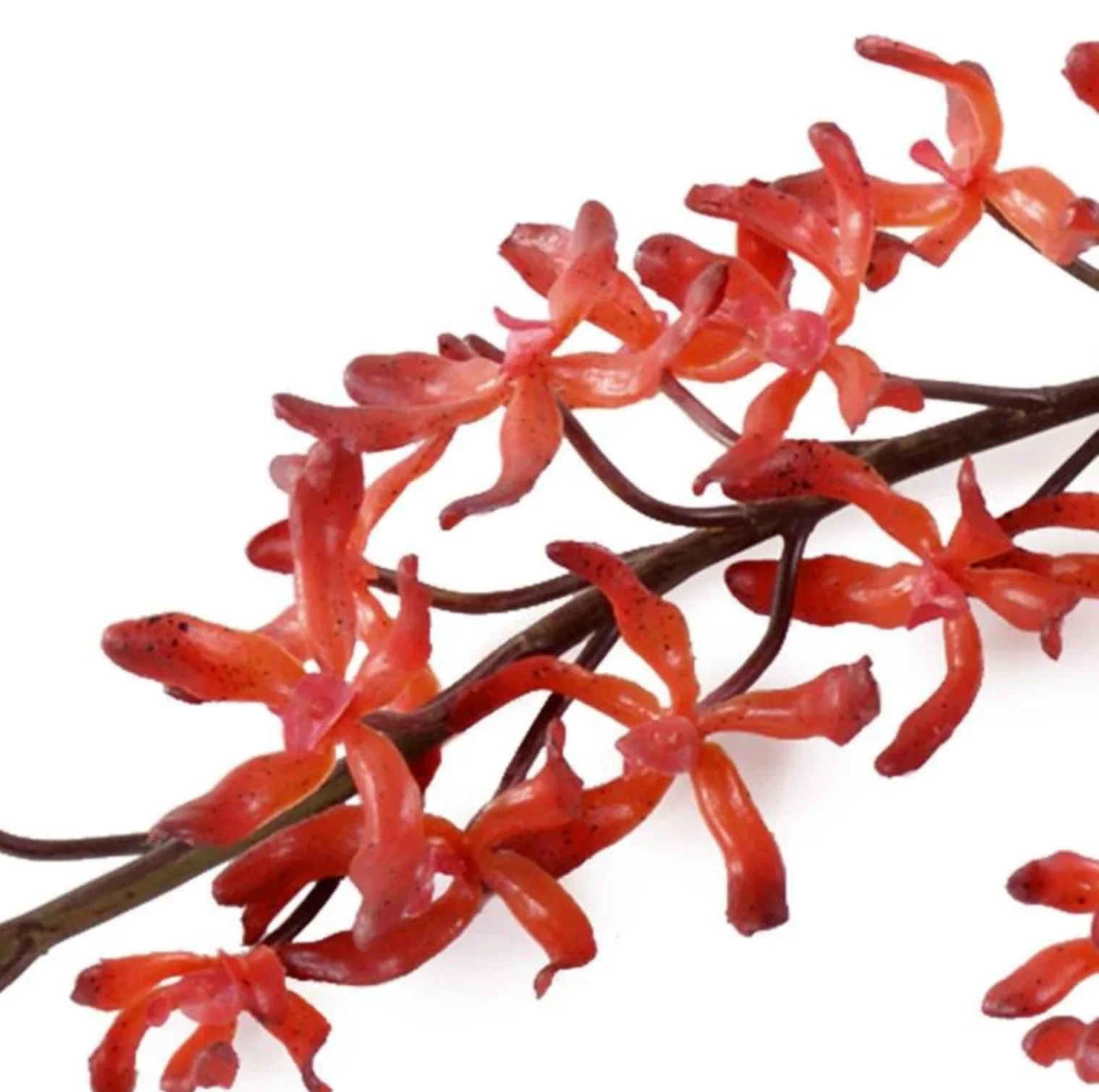 Aranda Orchid Spray - Image 2