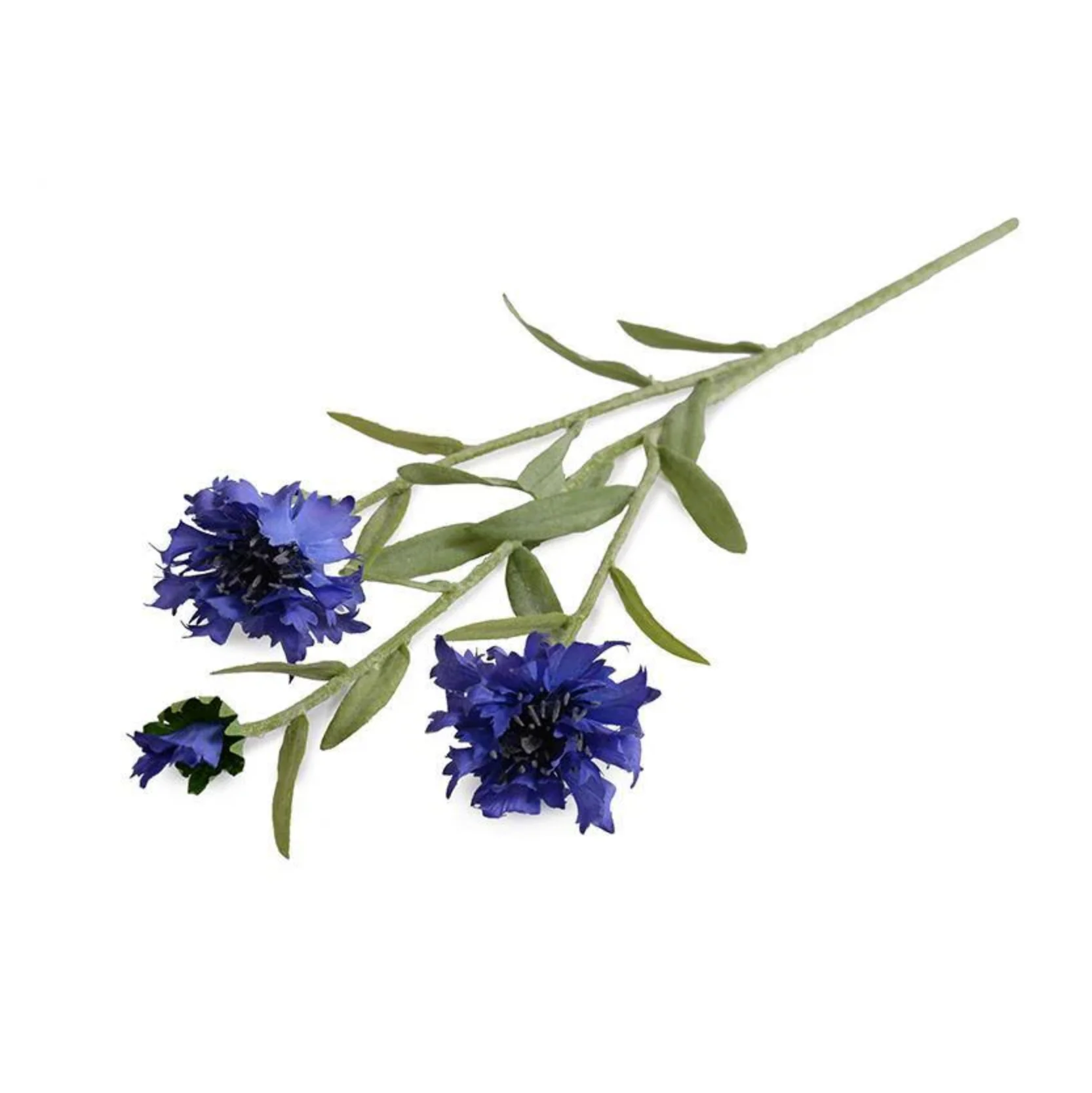 Bachelor's Button Stem - Image 1