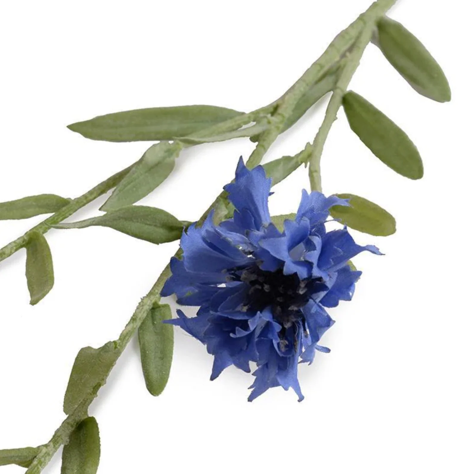 Bachelor's Button Stem - Image 2