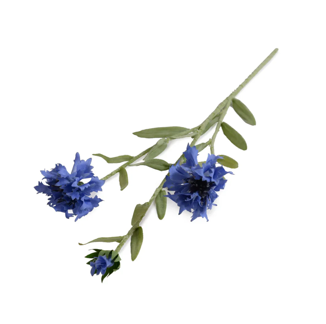 Bachelor's Button Stem - Image 3