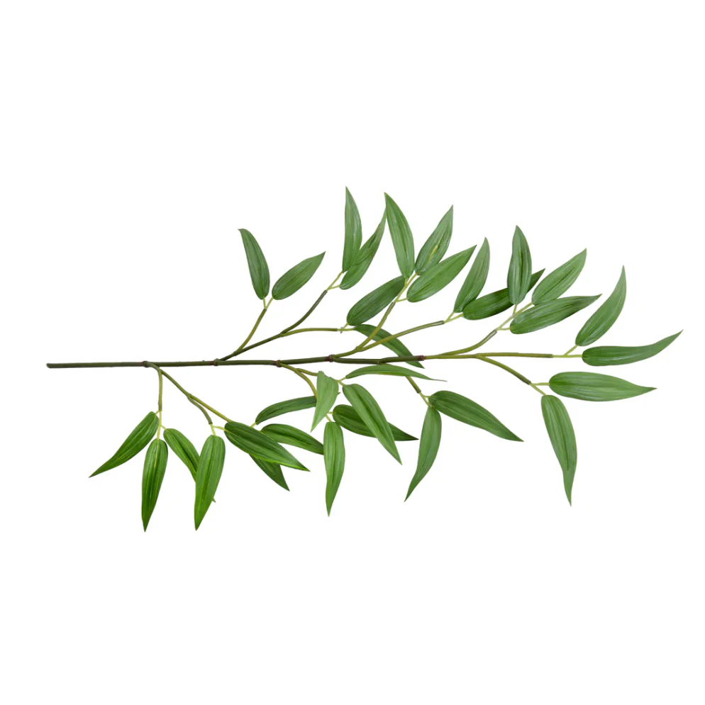 Bamboo Leaf Spray - Image 1