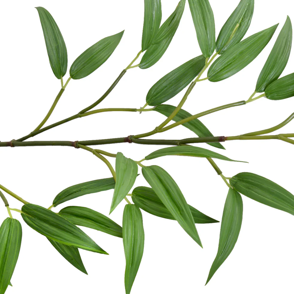 Bamboo Leaf Spray - Image 2