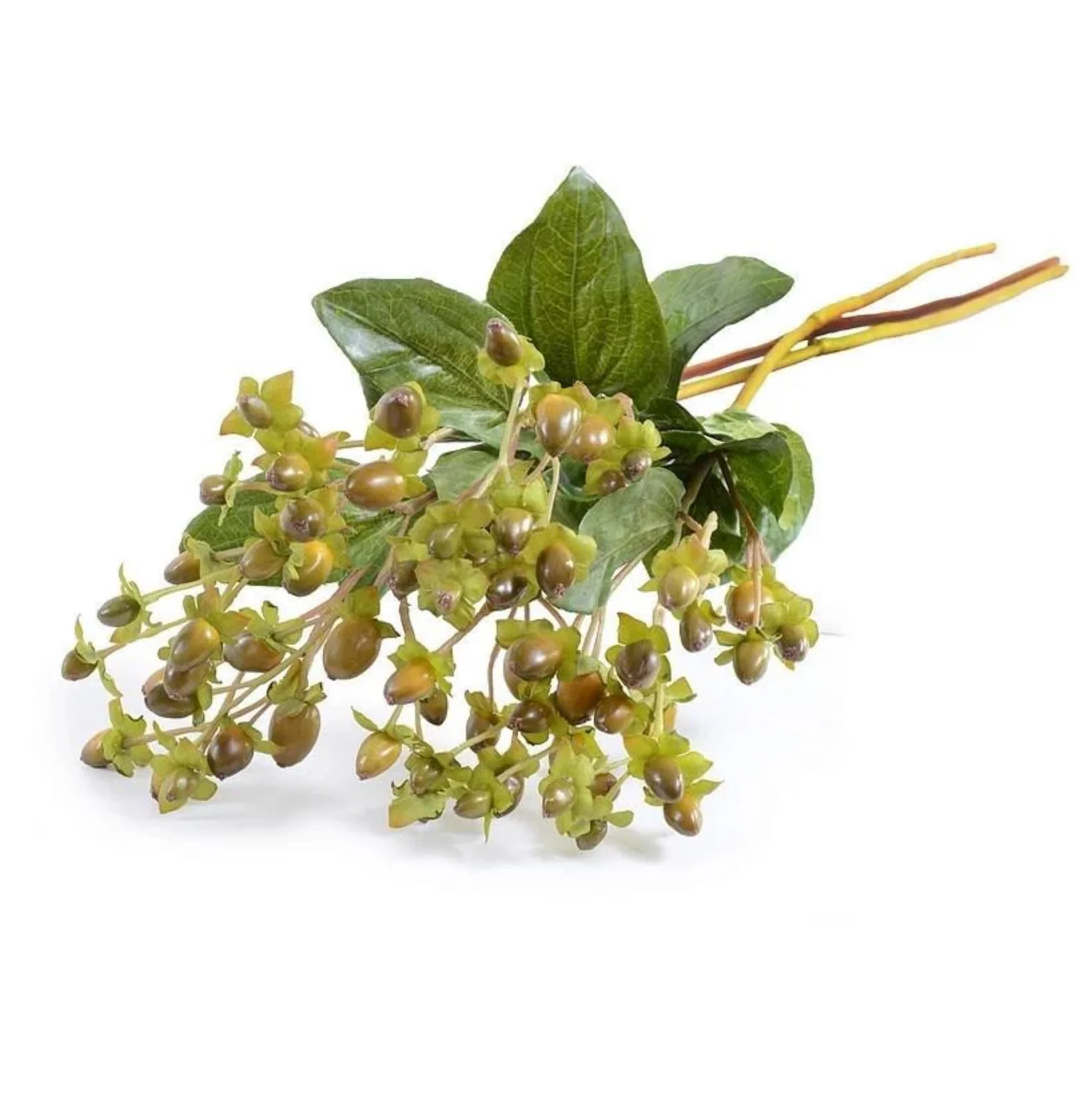 Hypericum Branch 30" - Image 1