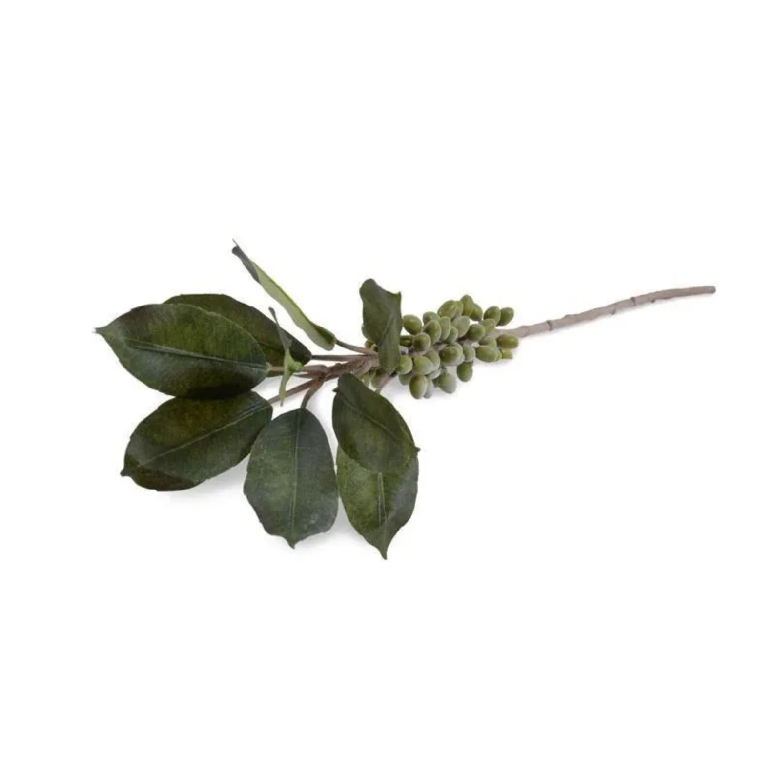 Coffee Berry Branch 37" - Image 1