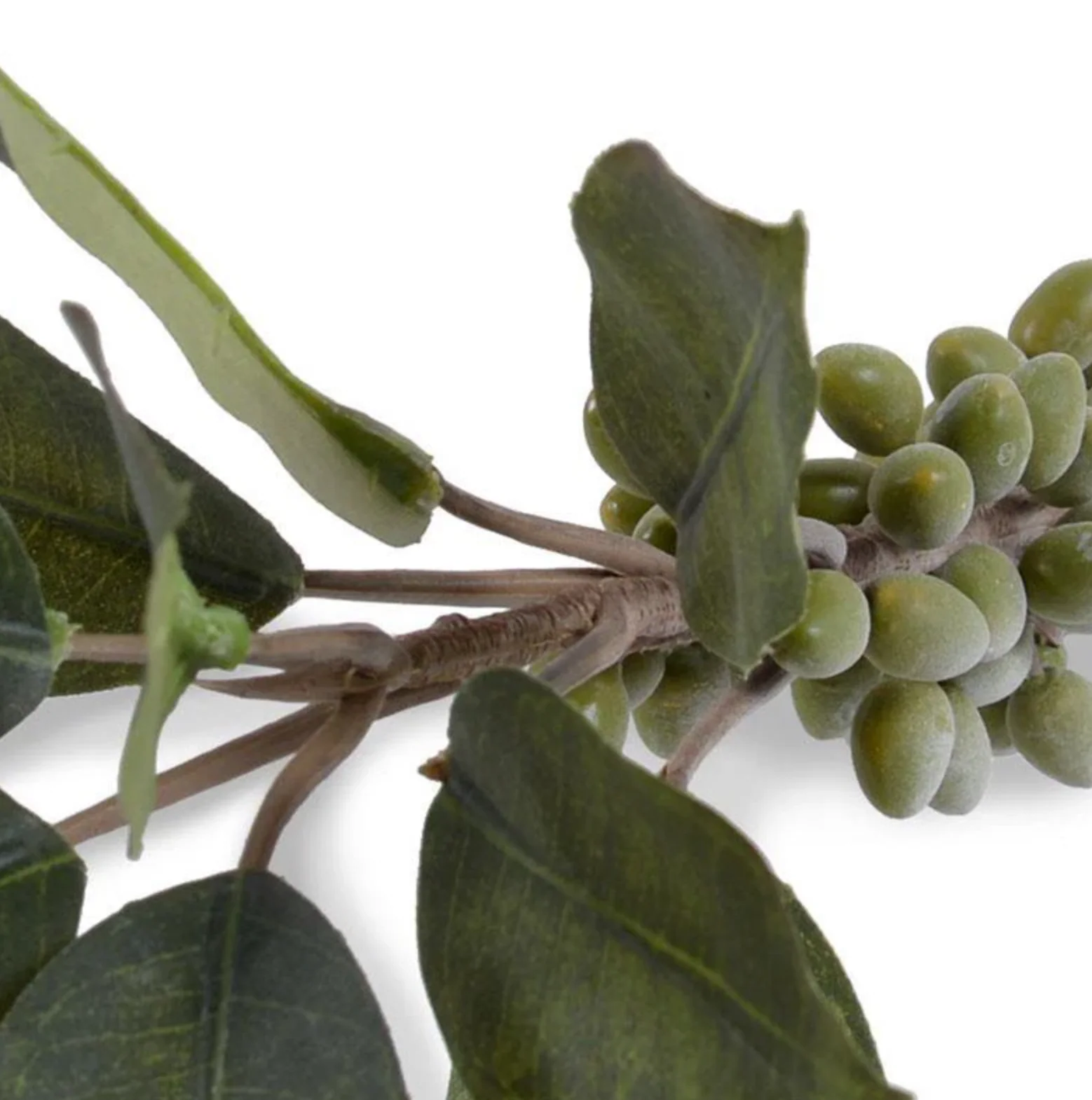 Coffee Berry Branch 37" - Image 2