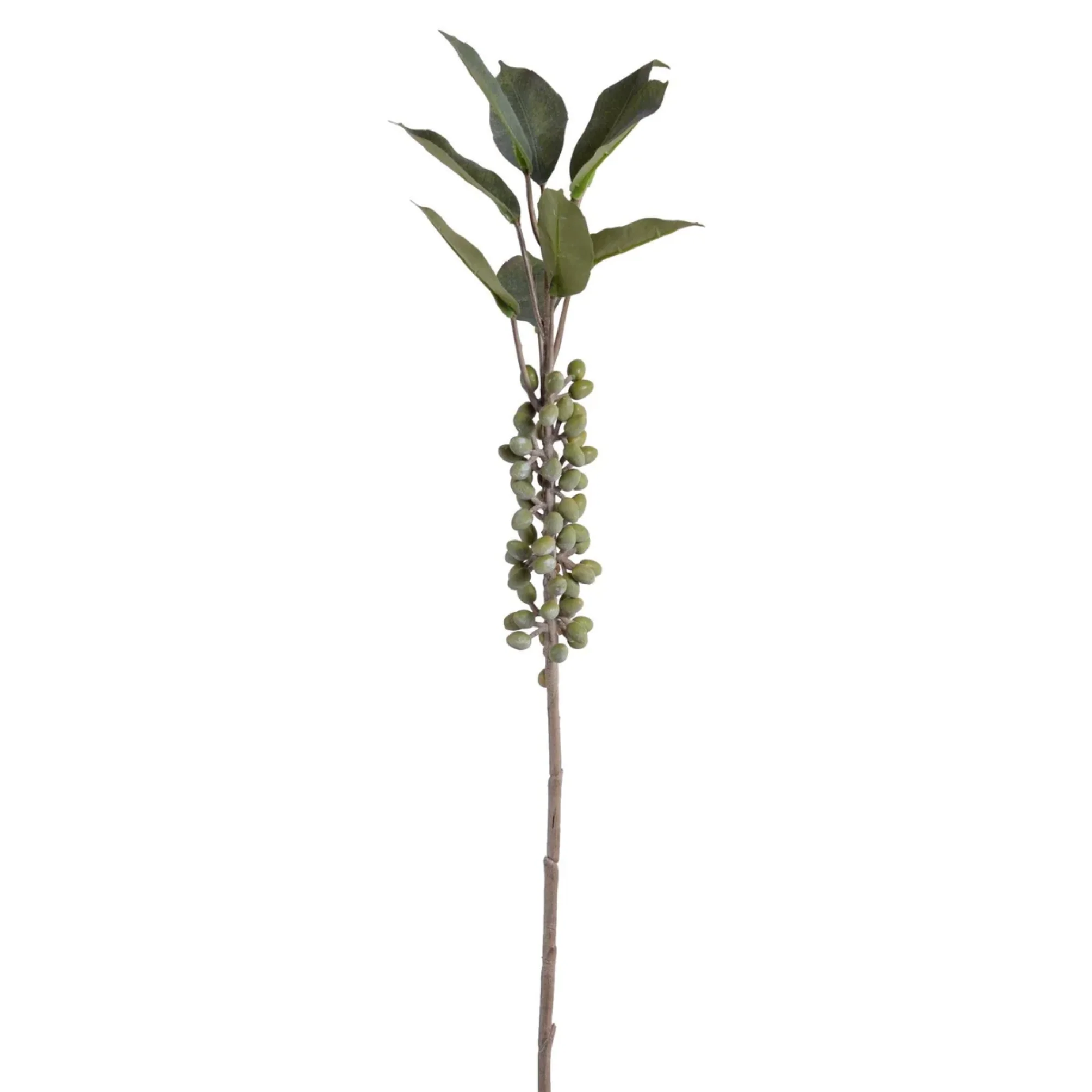Coffee Berry Branch 37" - Image 3