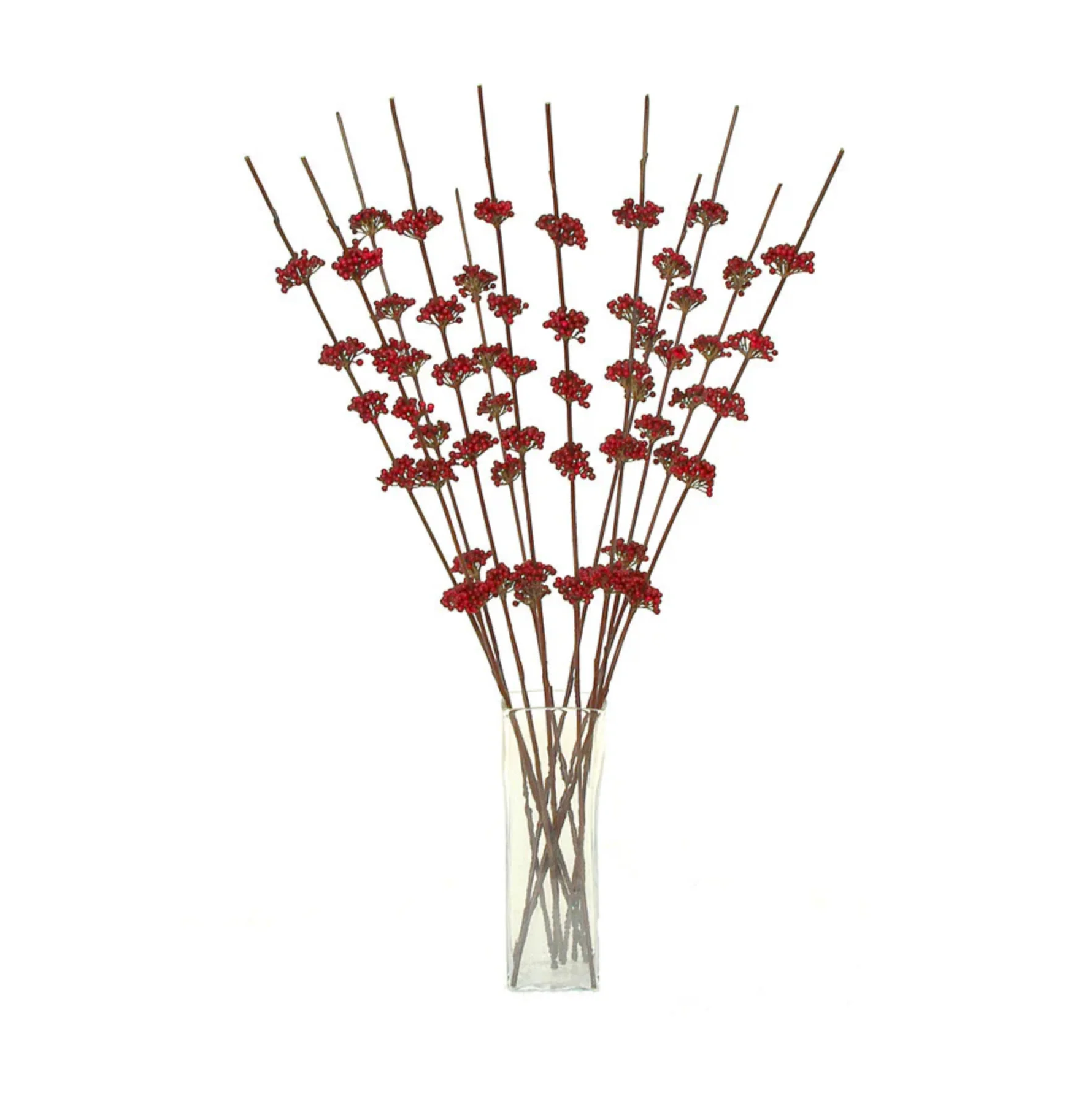Callicarpa Branch 39" - Image 1