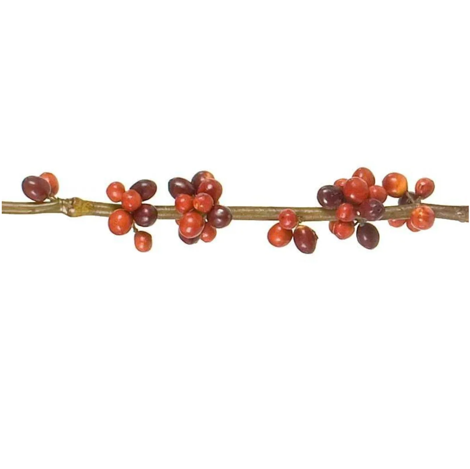 Coffee Berry Branch 40" - Image 1