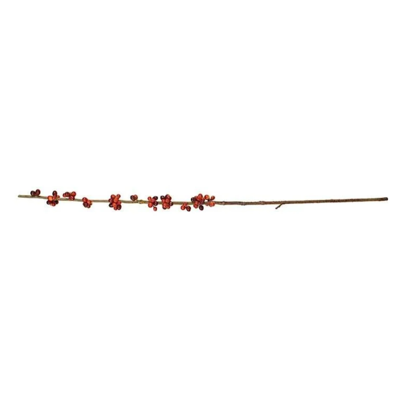 Coffee Berry Branch 40" - Image 2