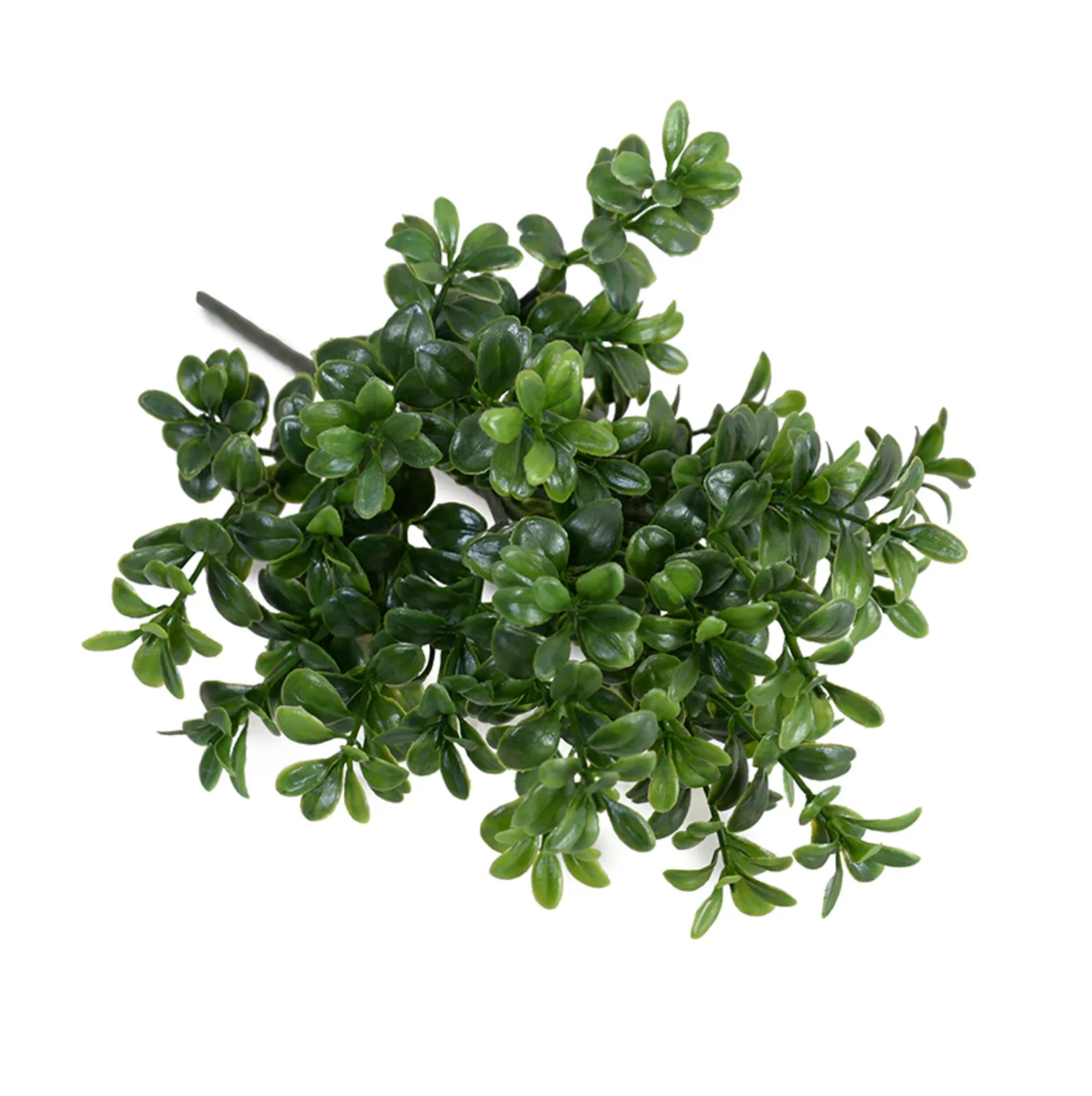 Boxwood Leaf Pick - Image 1