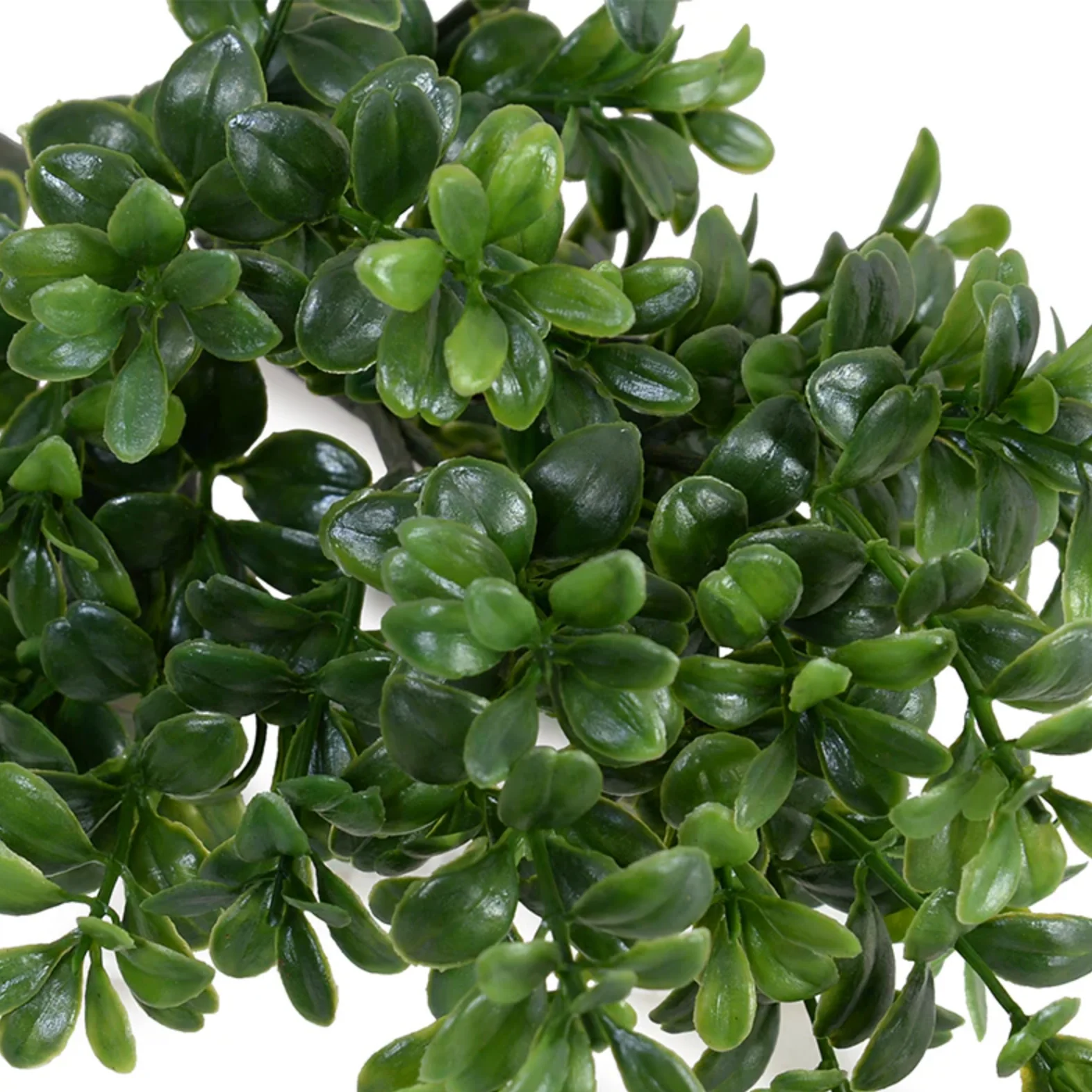 Boxwood Leaf Pick - Image 2