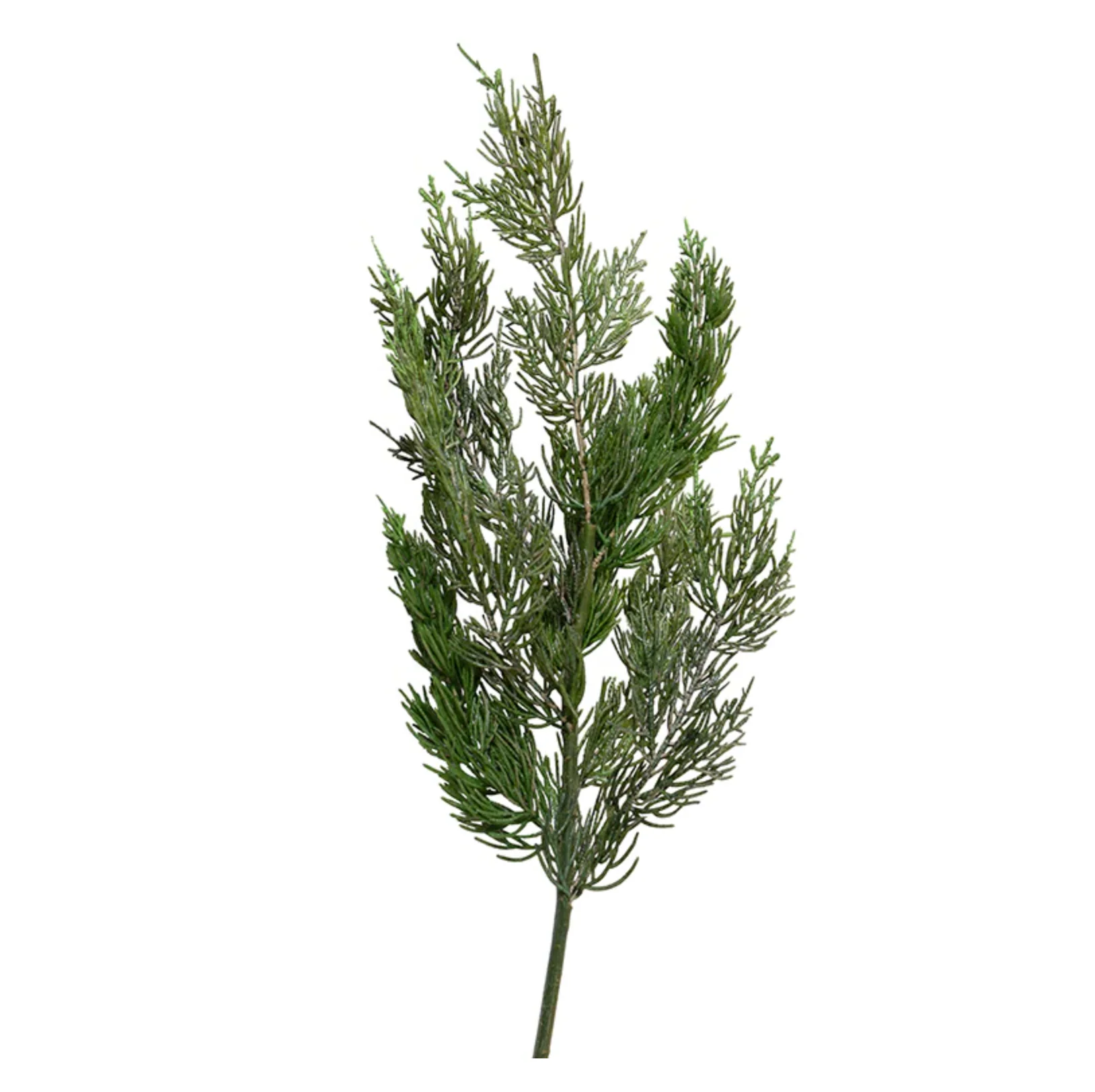 Cedar Foliage Spray - Image 1