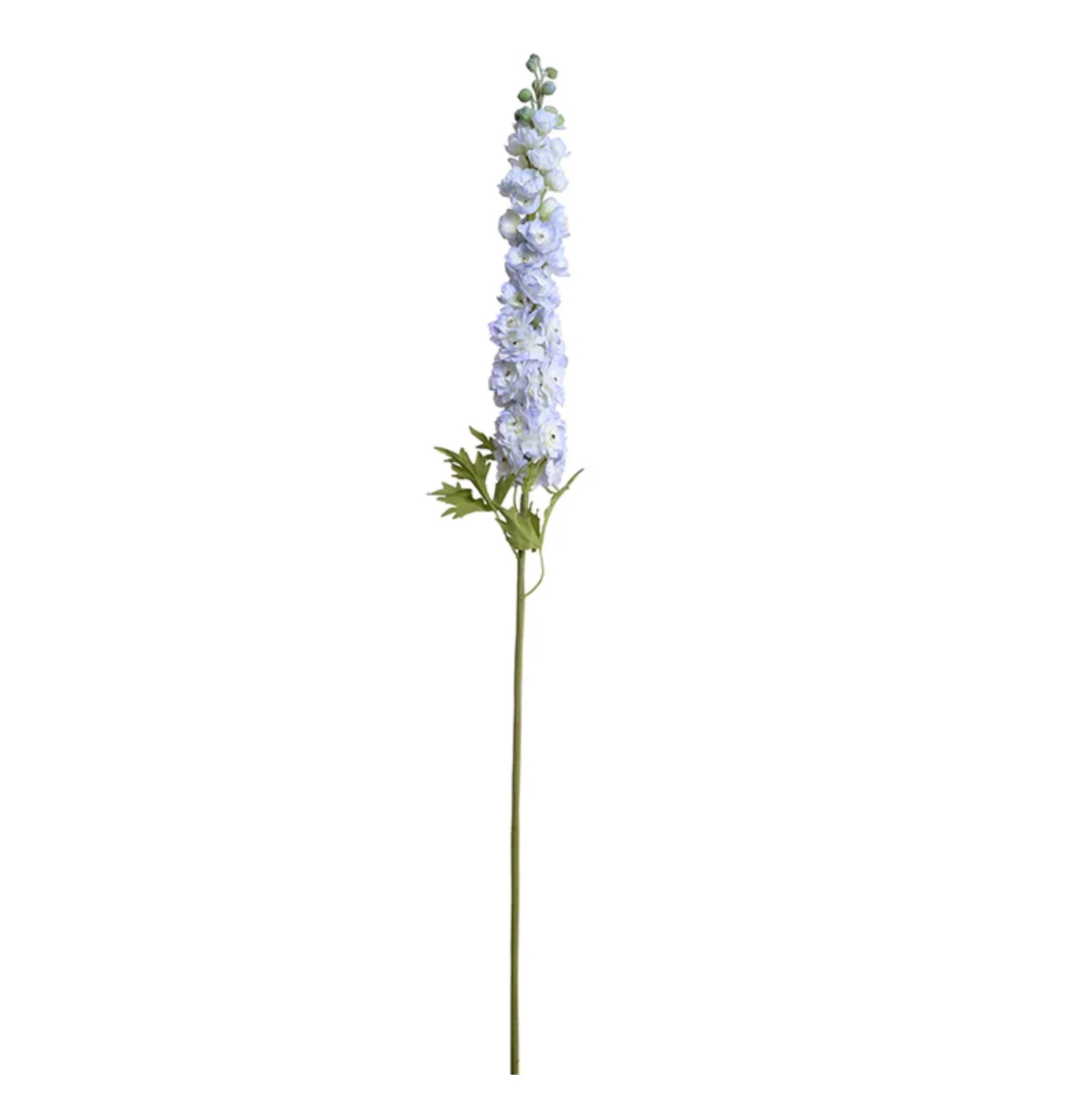 Delphinium flower stem - Image 1