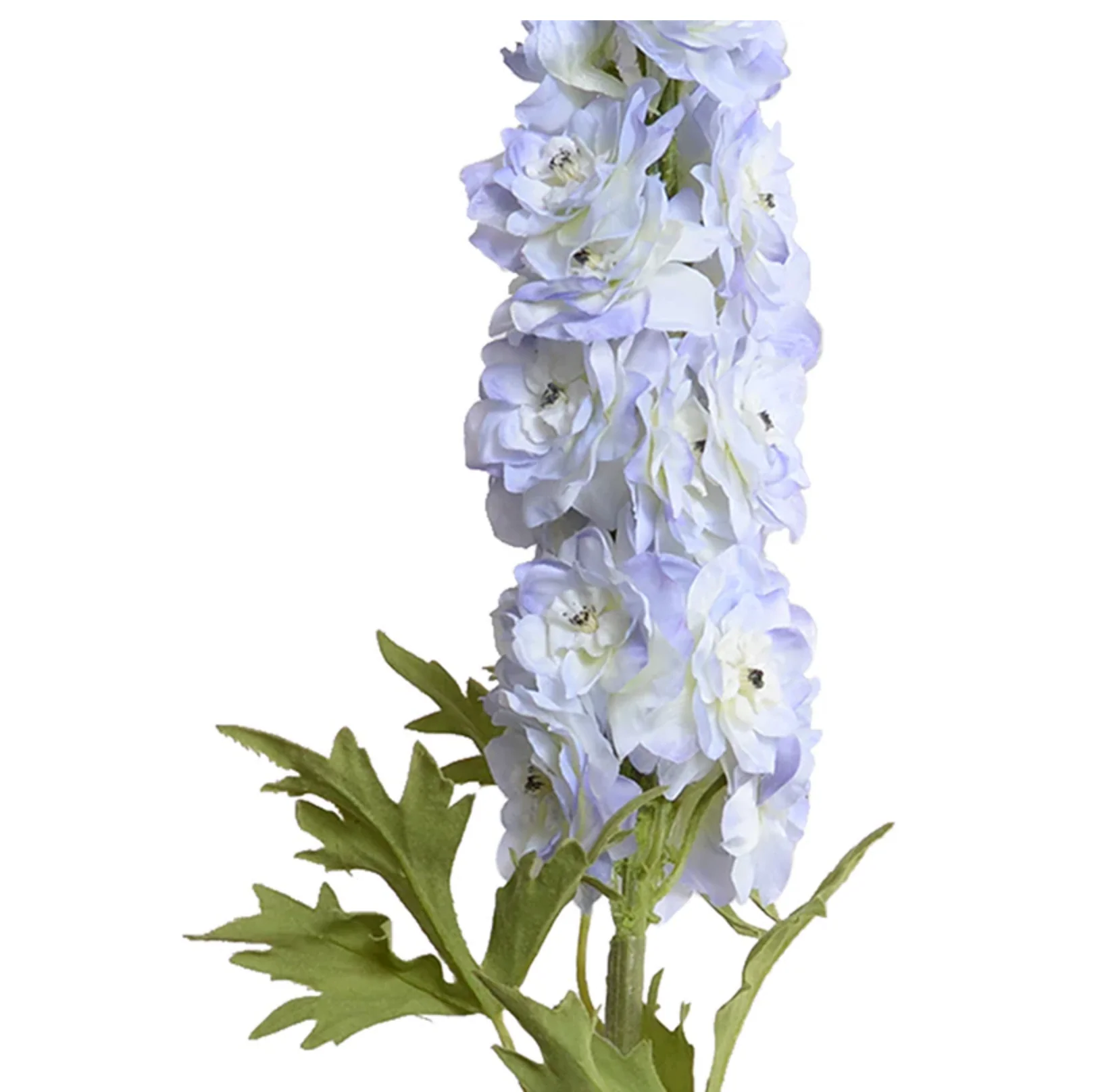 Delphinium flower stem - Image 2