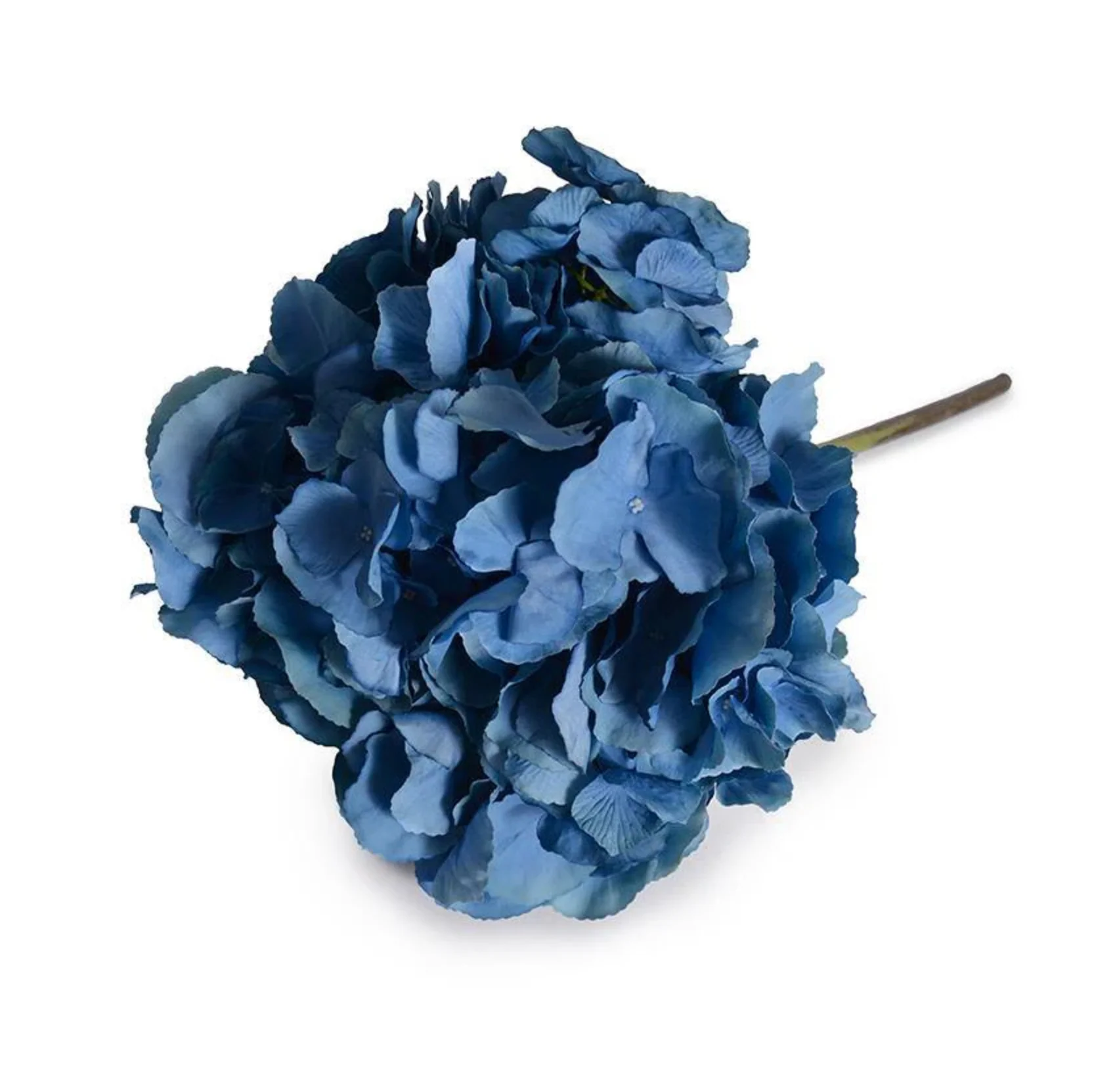 Hydrangea Stem - Image 1