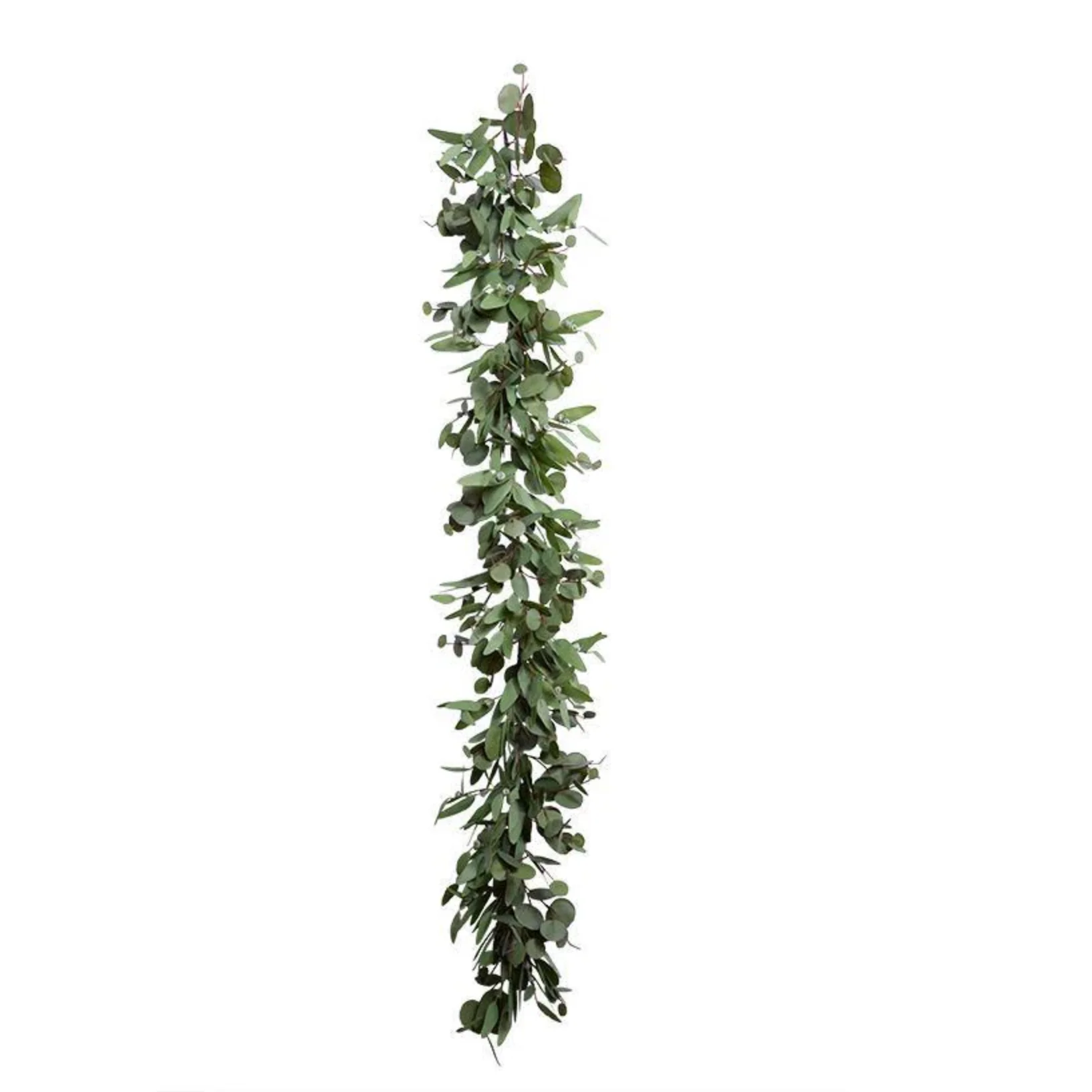 Eucalyptus Leaf Garland - Image 1