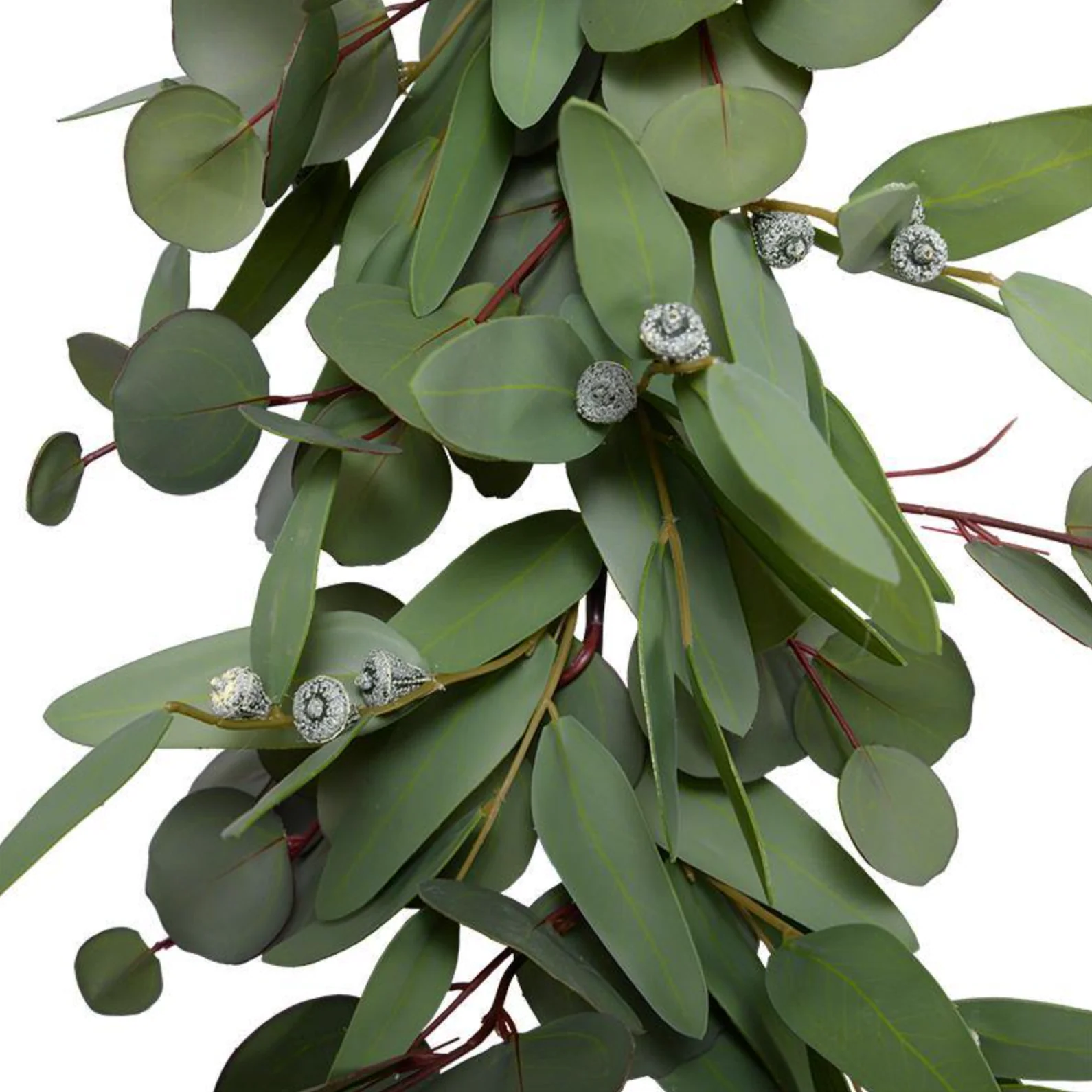 Eucalyptus Leaf Garland - Image 2