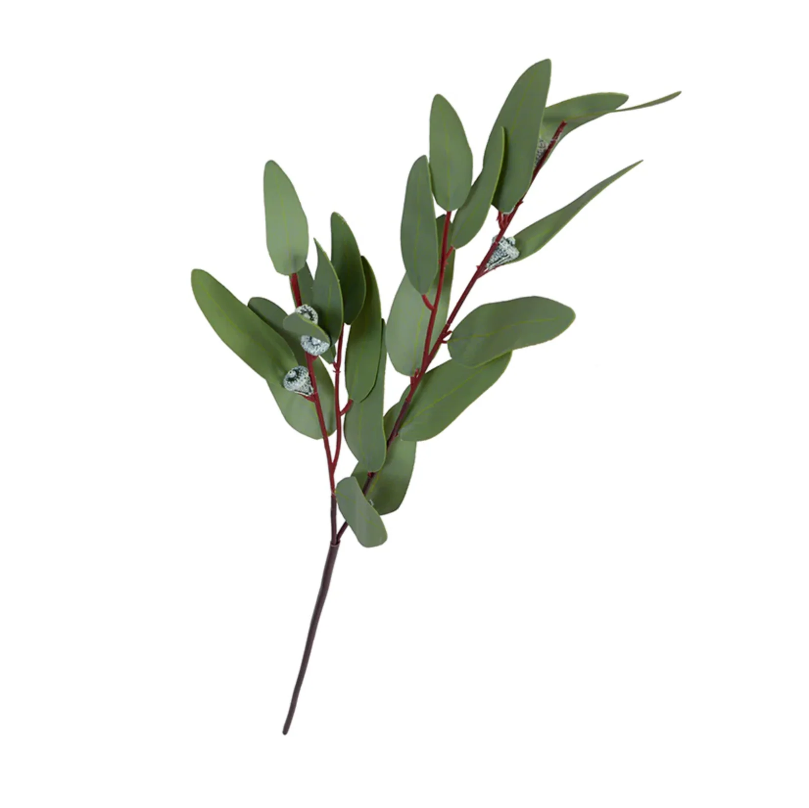 Eucalyptus seeded greenery spray - Image 1