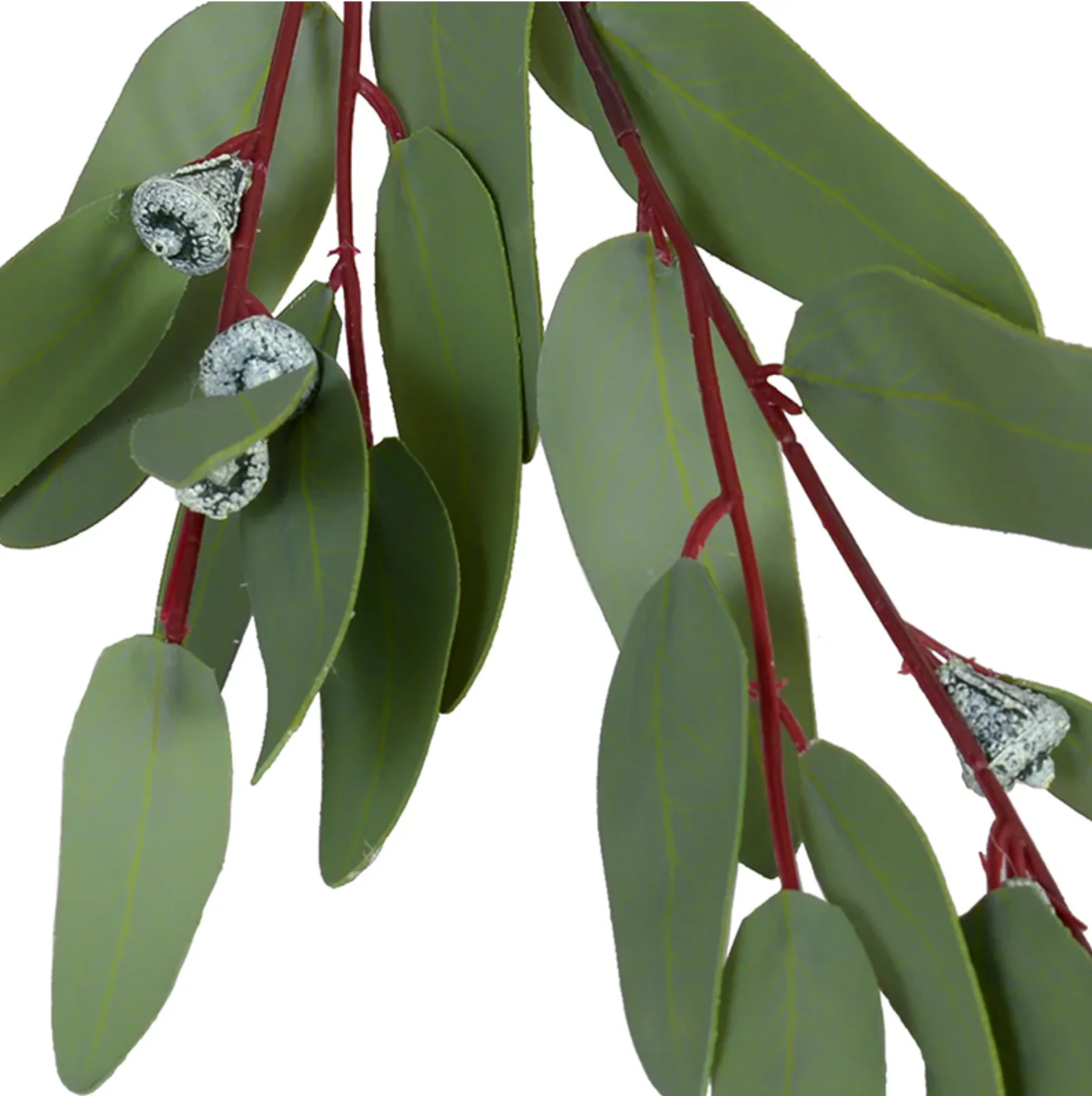 Eucalyptus seeded greenery spray - Image 2