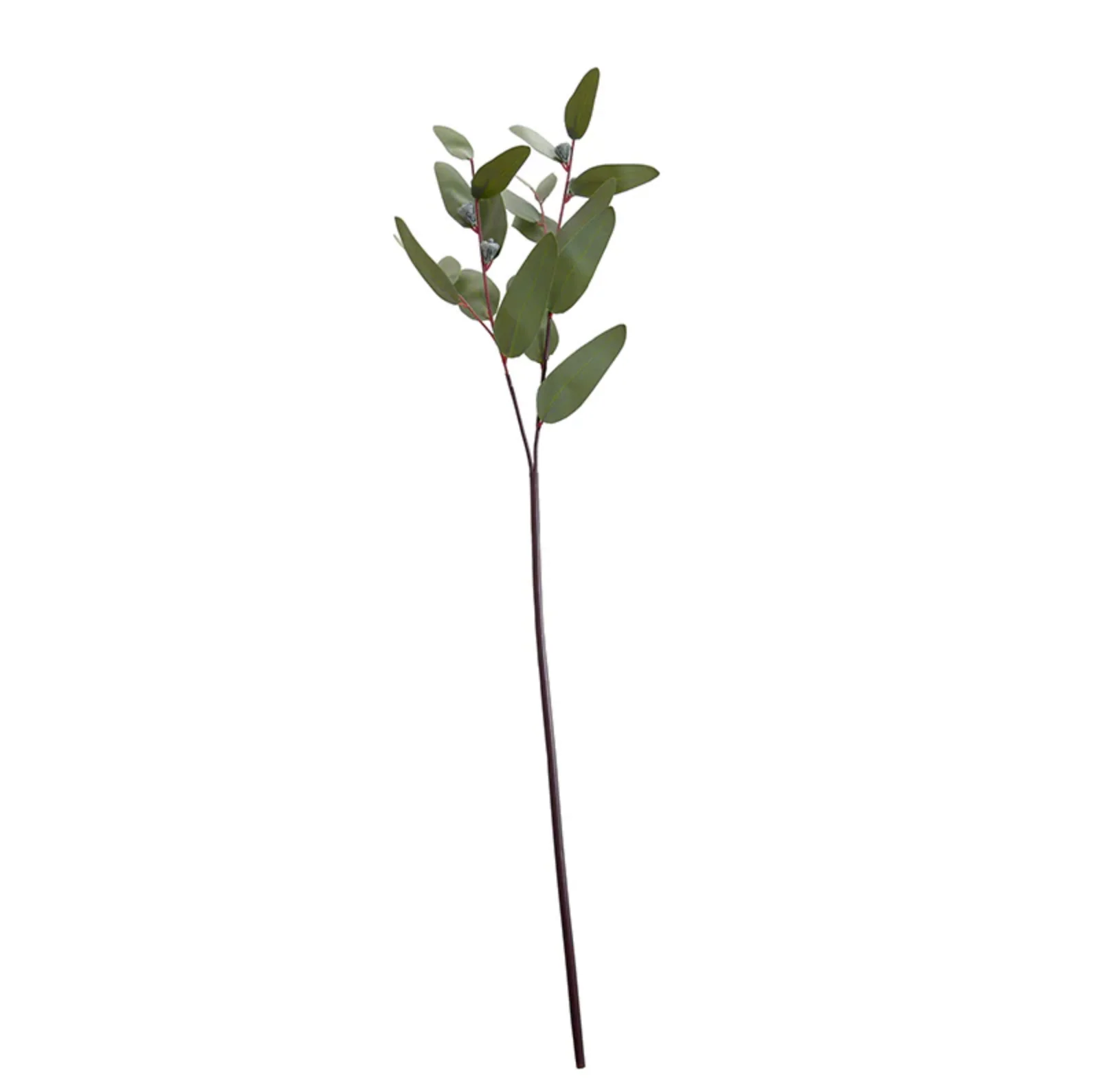 Eucalyptus seeded greenery spray - Image 3
