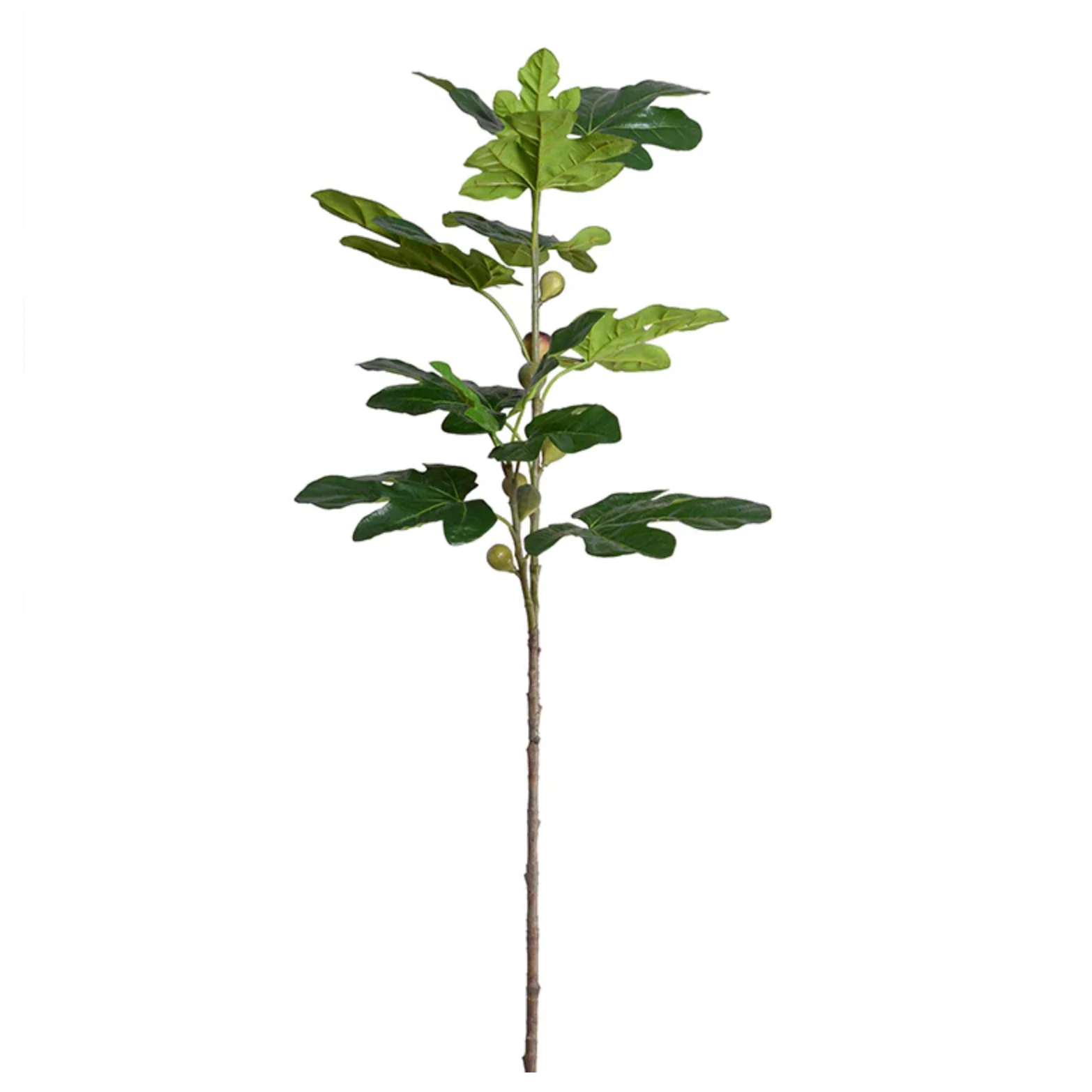 Fig Leaf branch spray w/fruits - Image 1