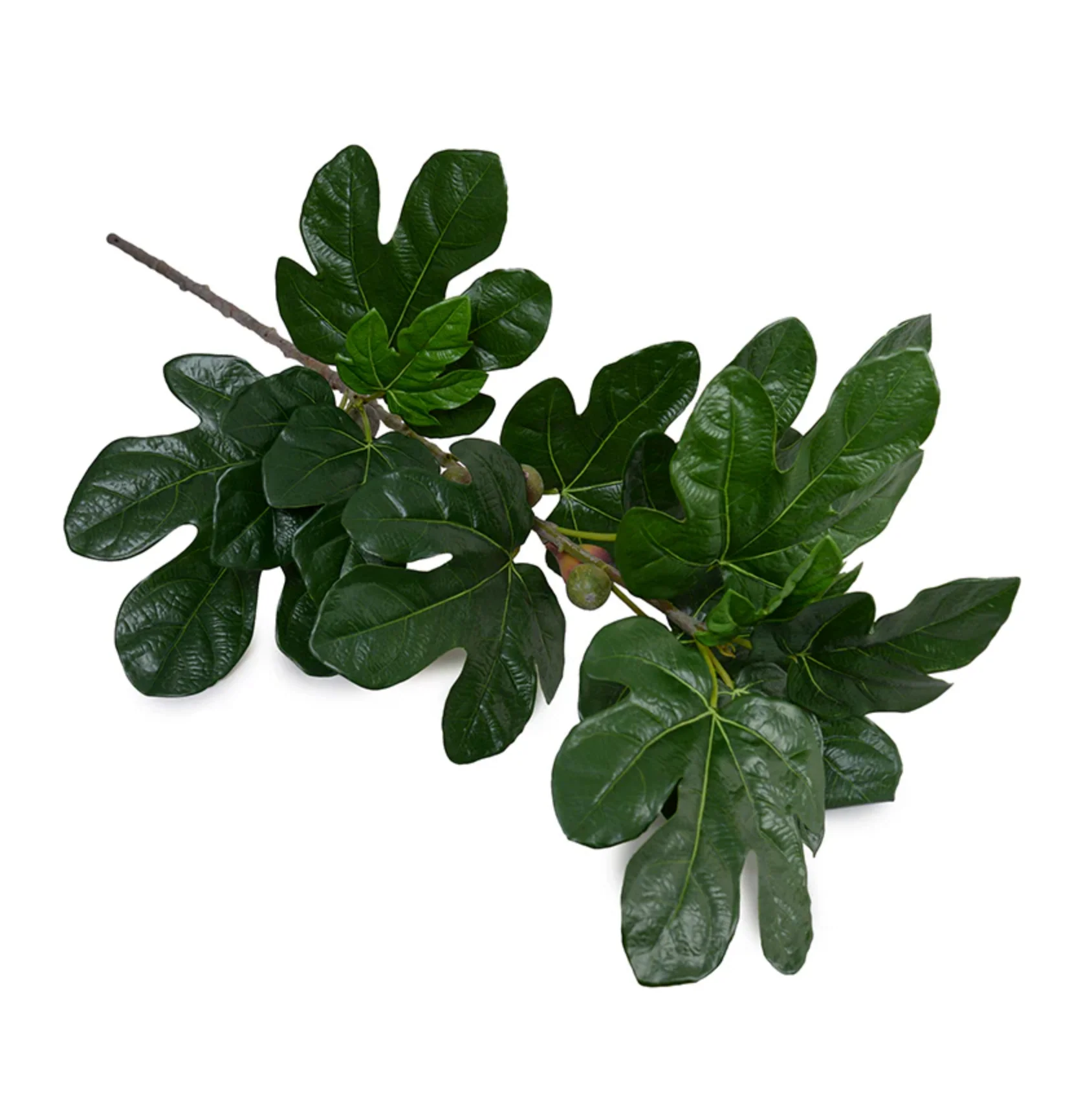 Fig Leaf branch spray w/fruits - Image 2