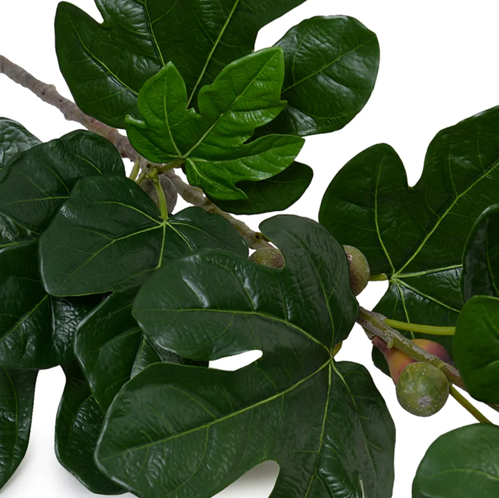 Fig Leaf branch spray w/fruits - Image 3