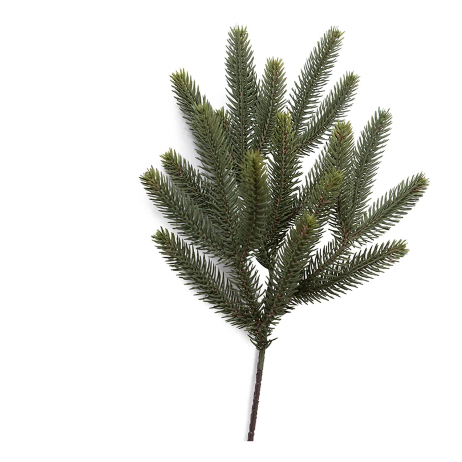 Fraser Fir Spray - Image 1