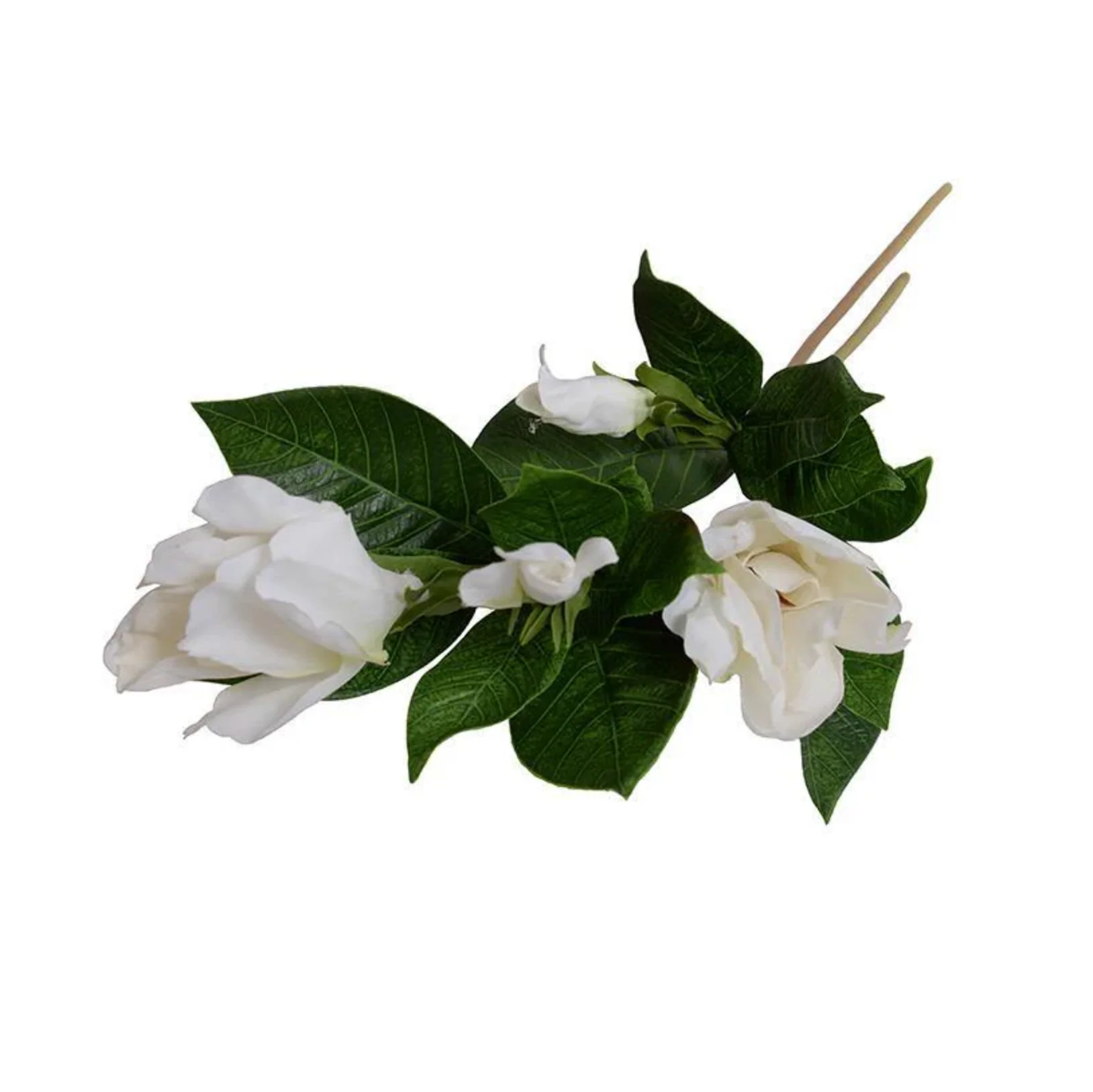 Gardenia Flower Spray - Image 1