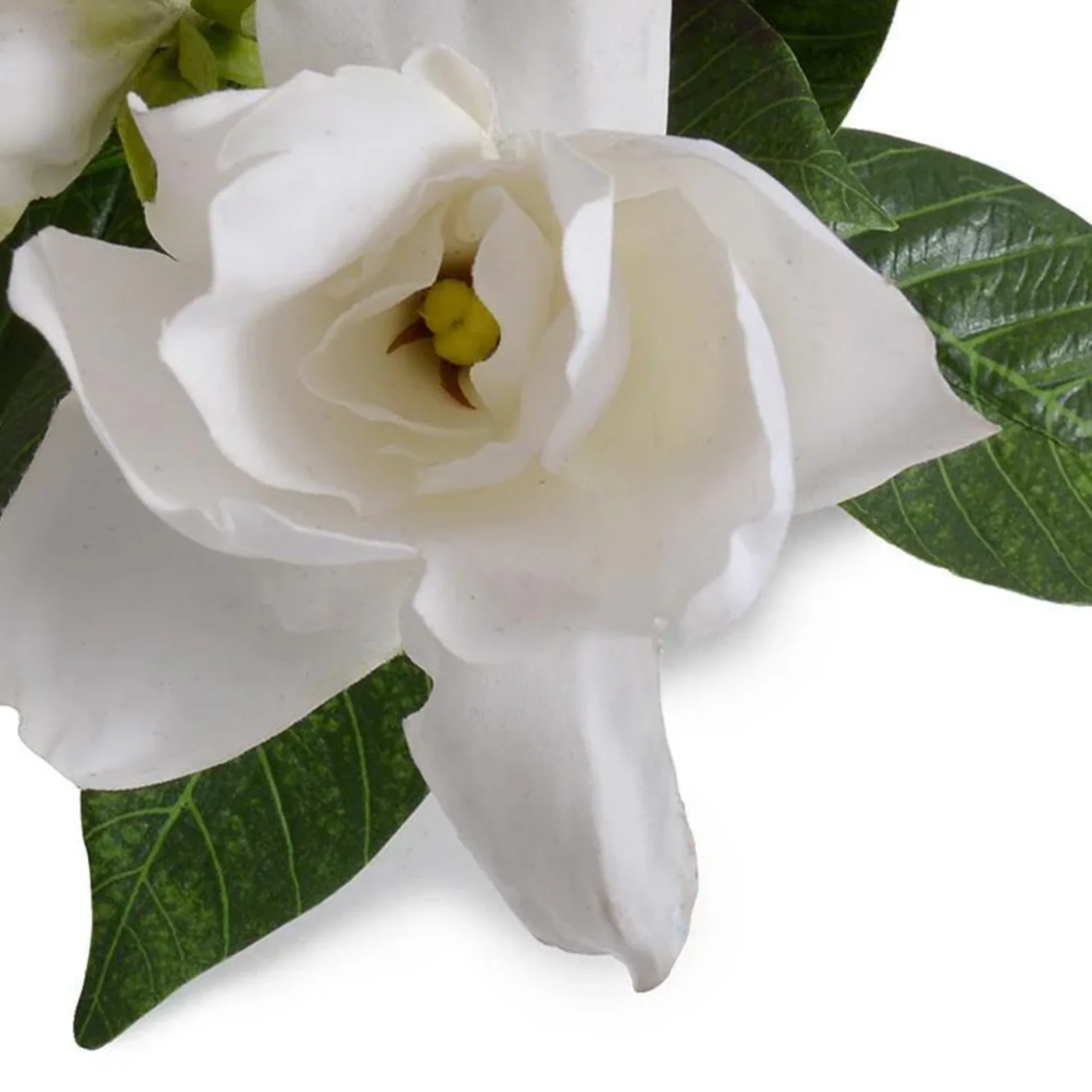 Gardenia Flower Spray - Image 3