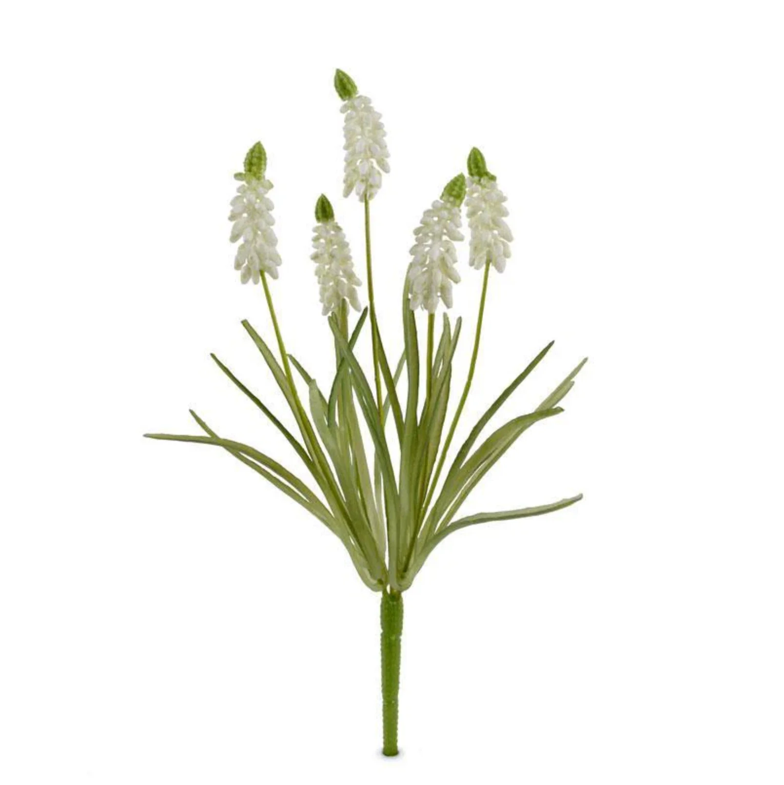 Grape Hyacinth Spray - Image 1