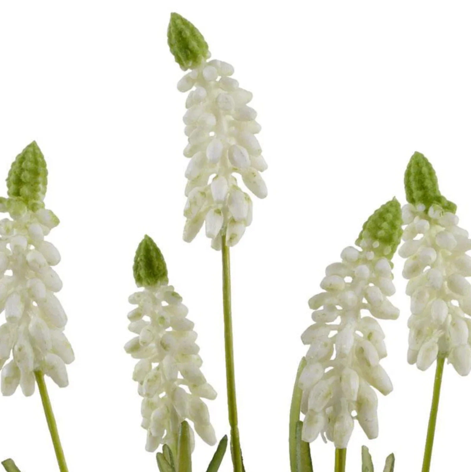 Grape Hyacinth Spray - Image 2