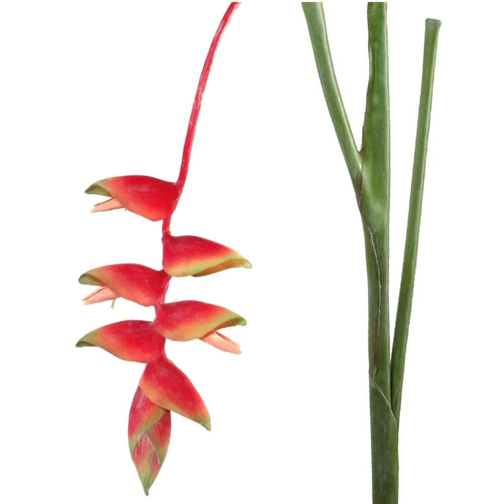 Heliconia Stem - Image 2