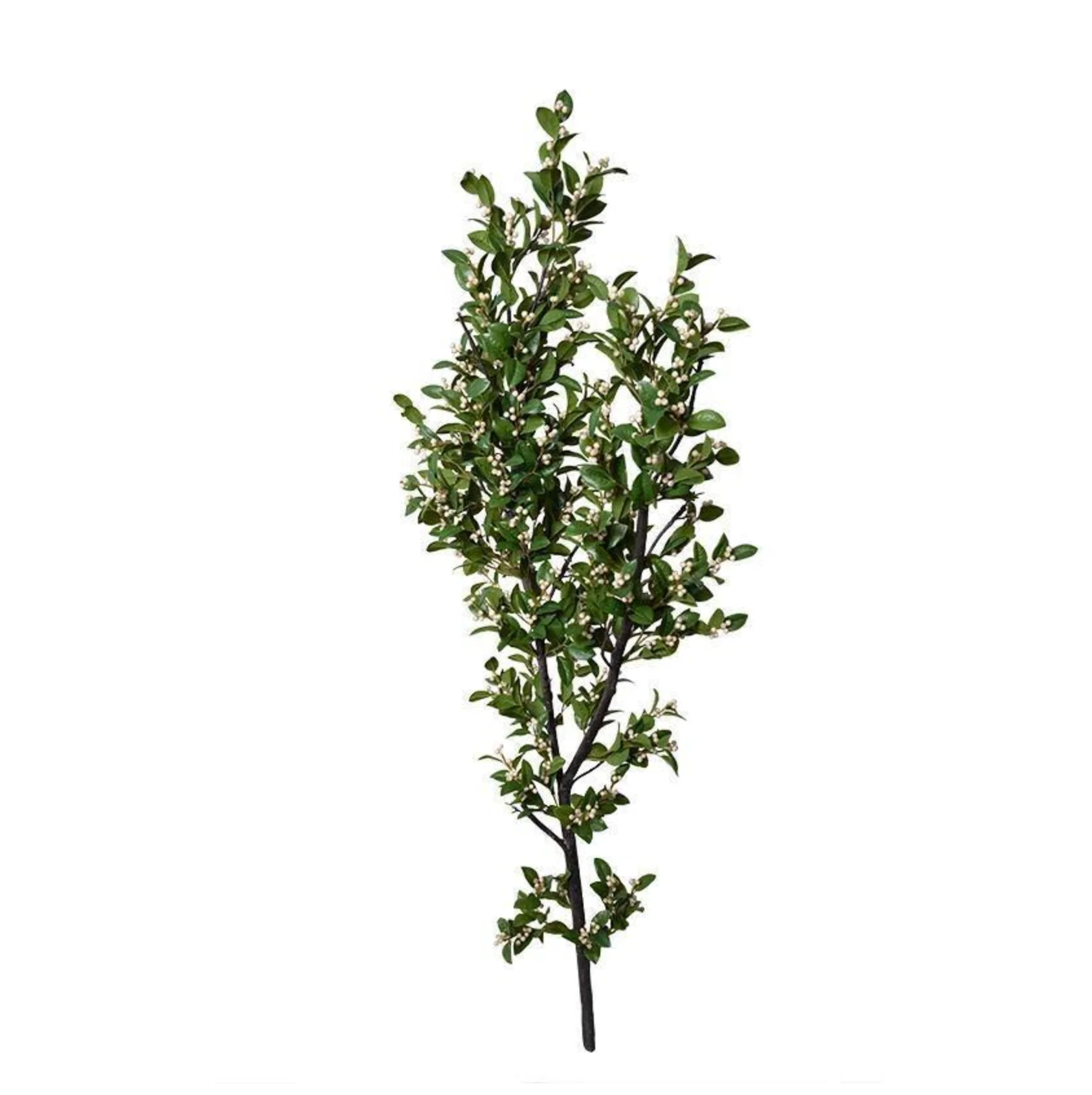 Holly Branch with White Berries - Image 1