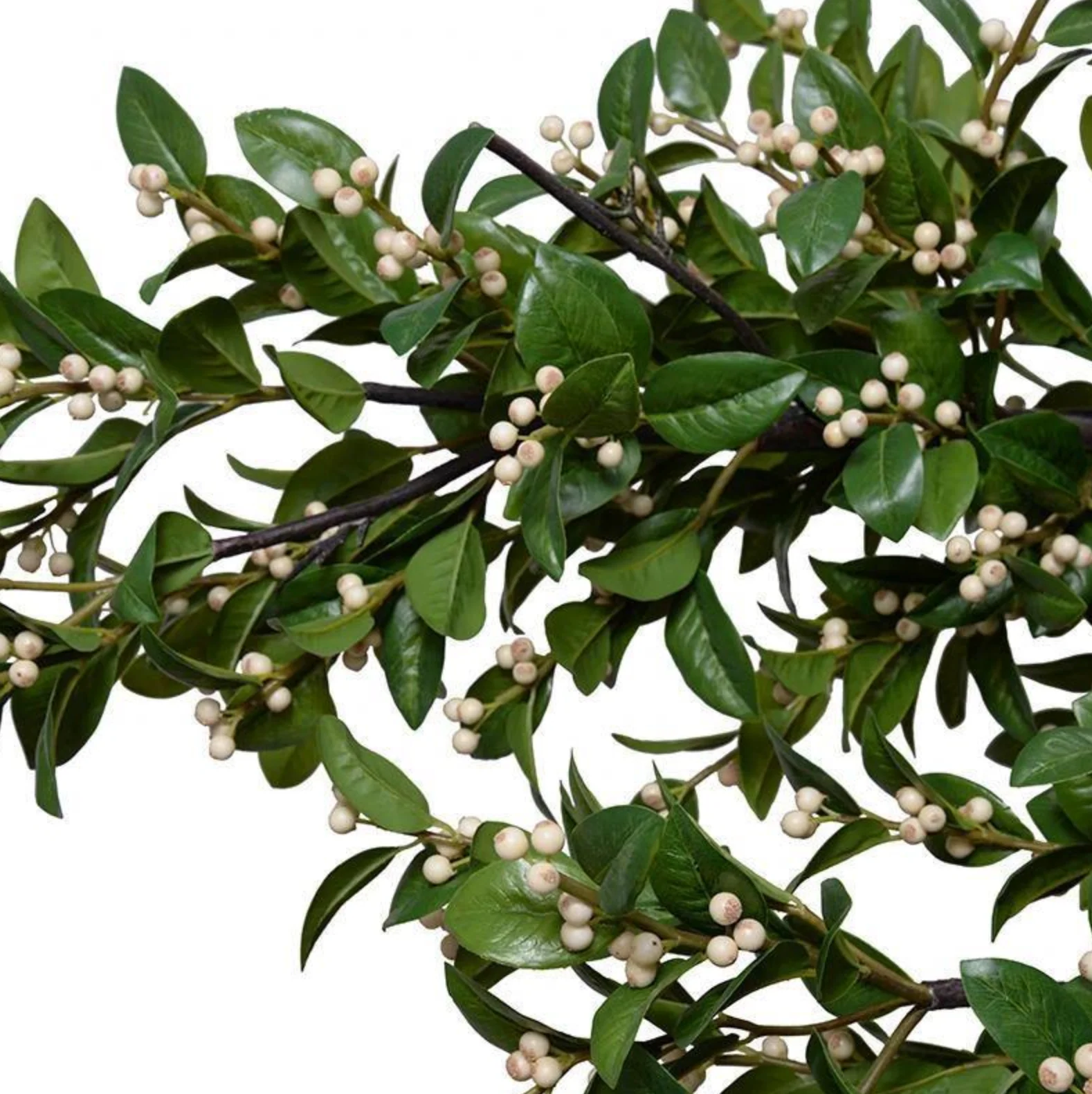 Holly Branch with White Berries - Image 2