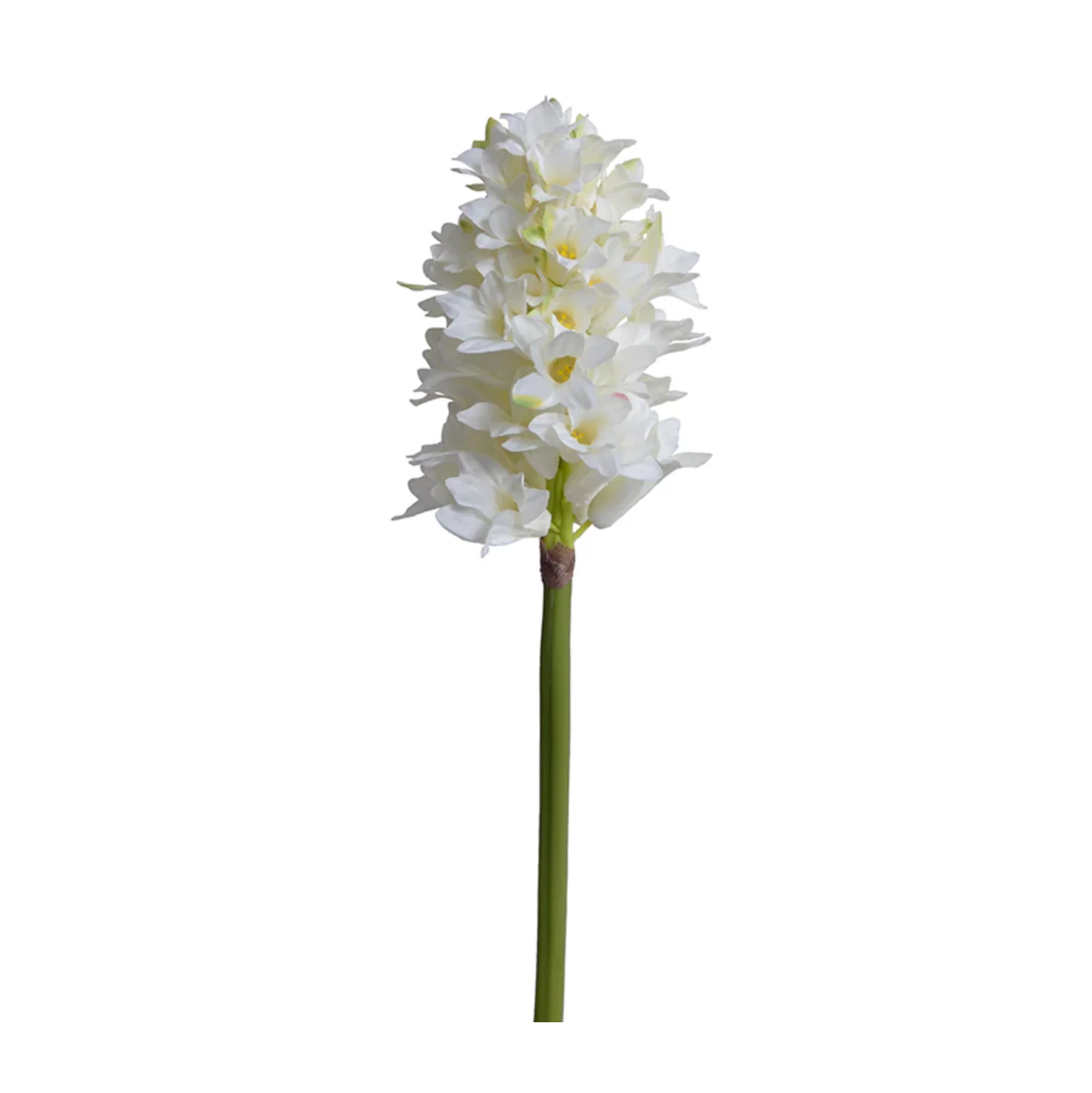 Hyacinth Stem - Image 1