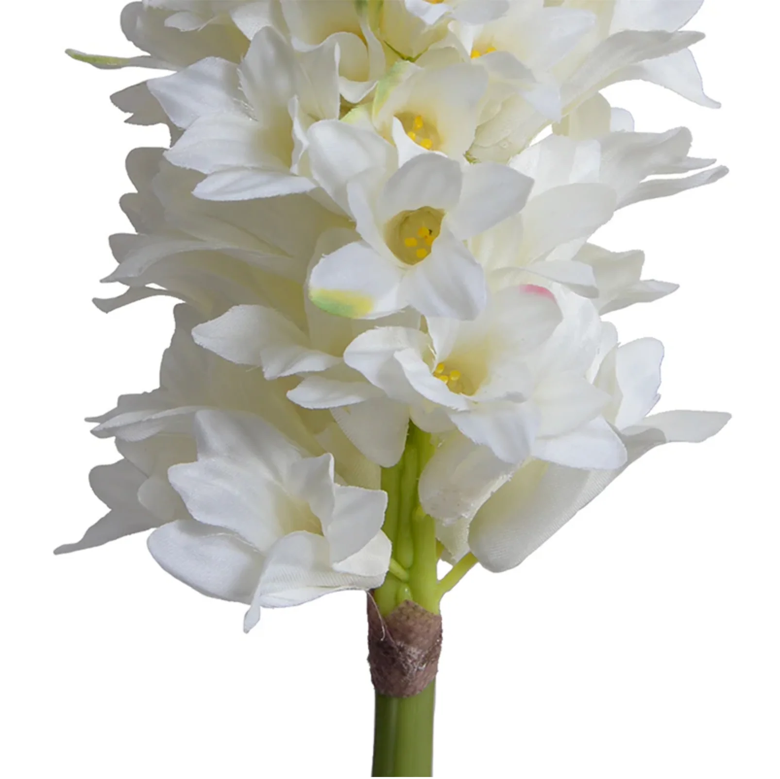 Hyacinth Stem - Image 2