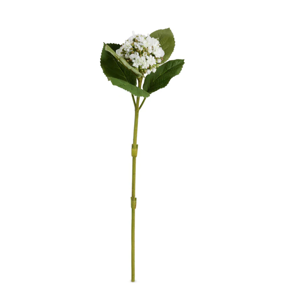 Hydrangea Bud Stem with Leaf - Image 1