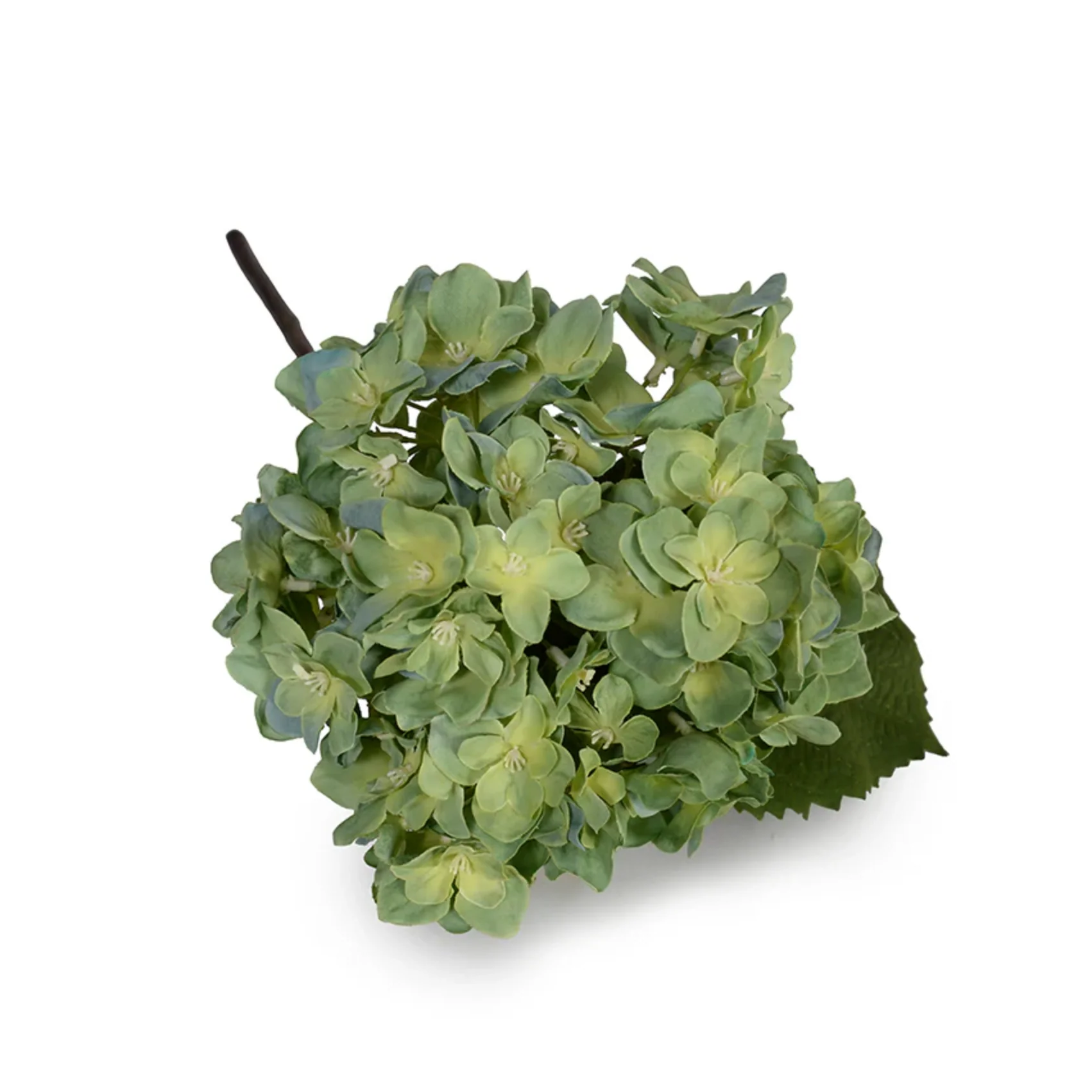 Hydrangea Flower Stem - Image 1