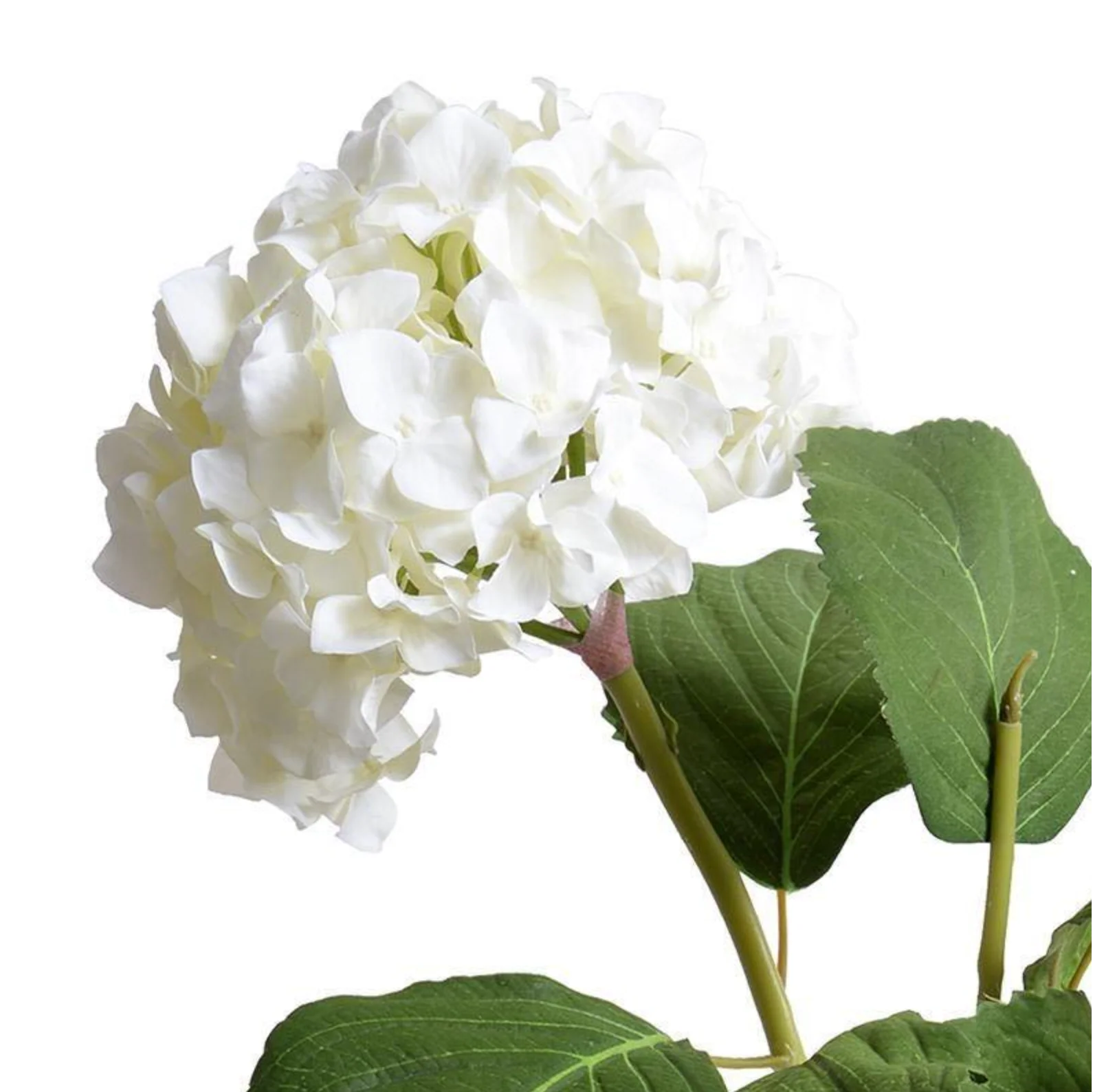 Hydrangea Spray - Image 2