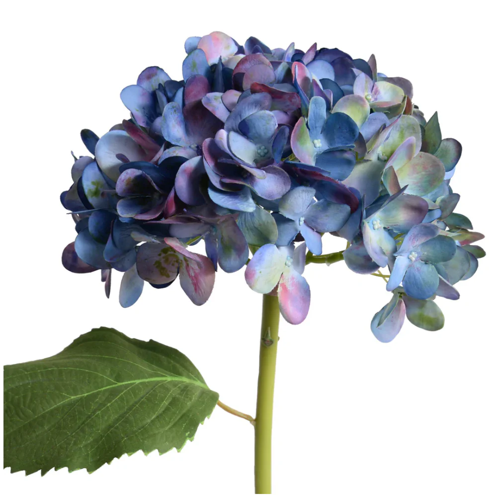 Hydrangea Stem with Leaf - Image 2