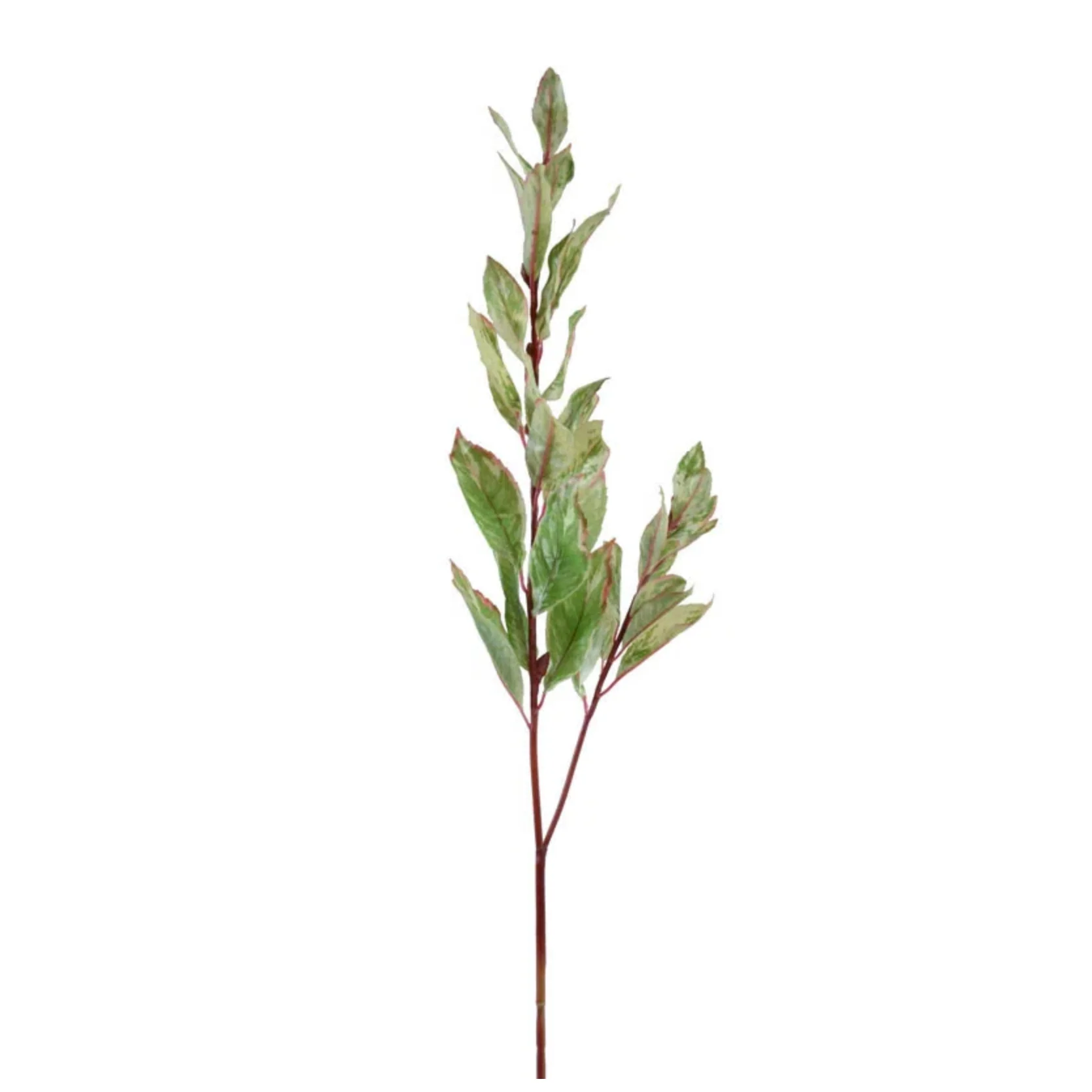 Laurel Leaf Spray - Image 1