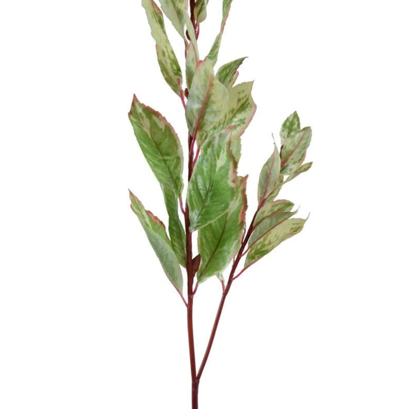 Laurel Leaf Spray - Image 2