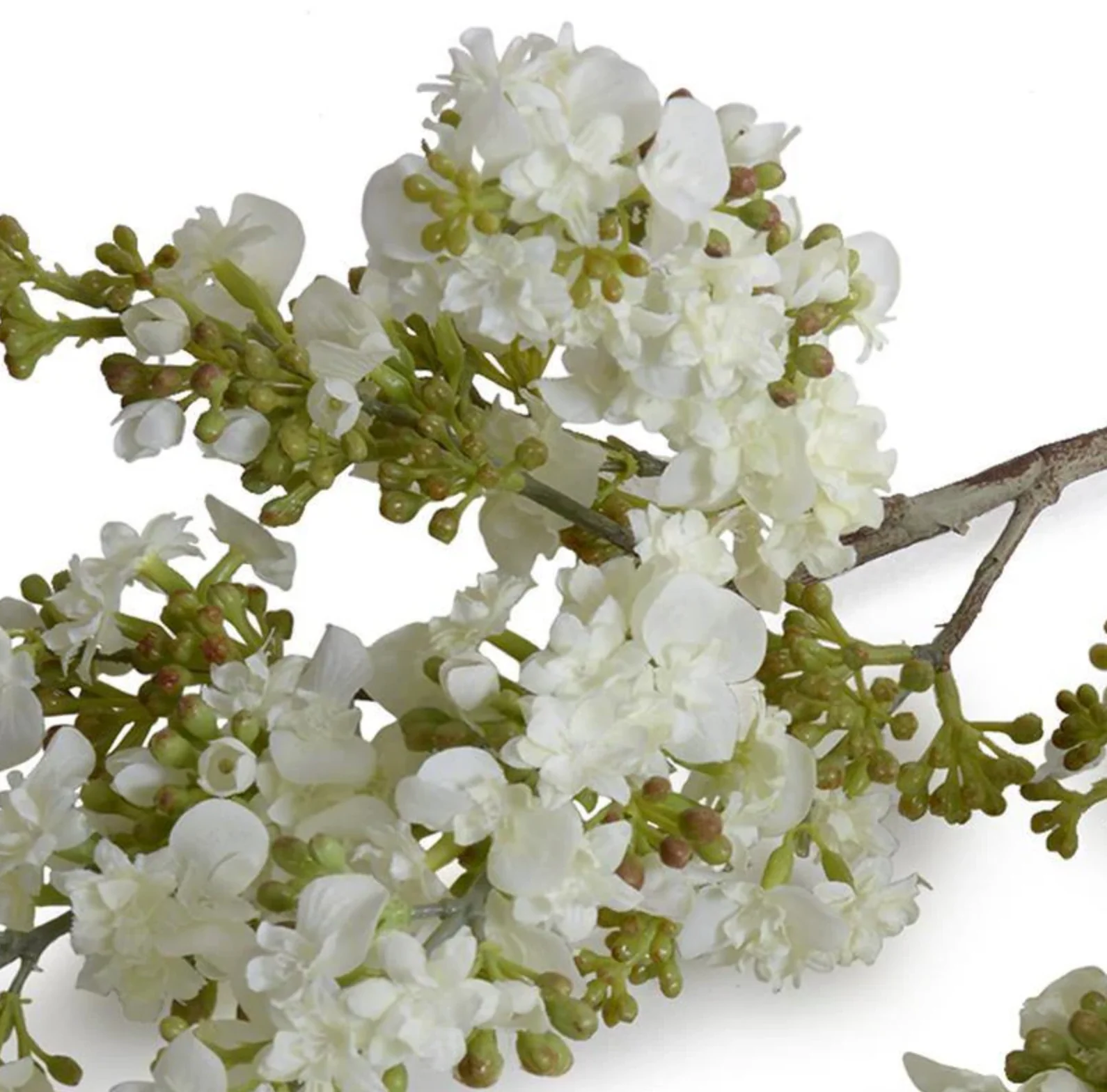 Lilac Branch - Image 2