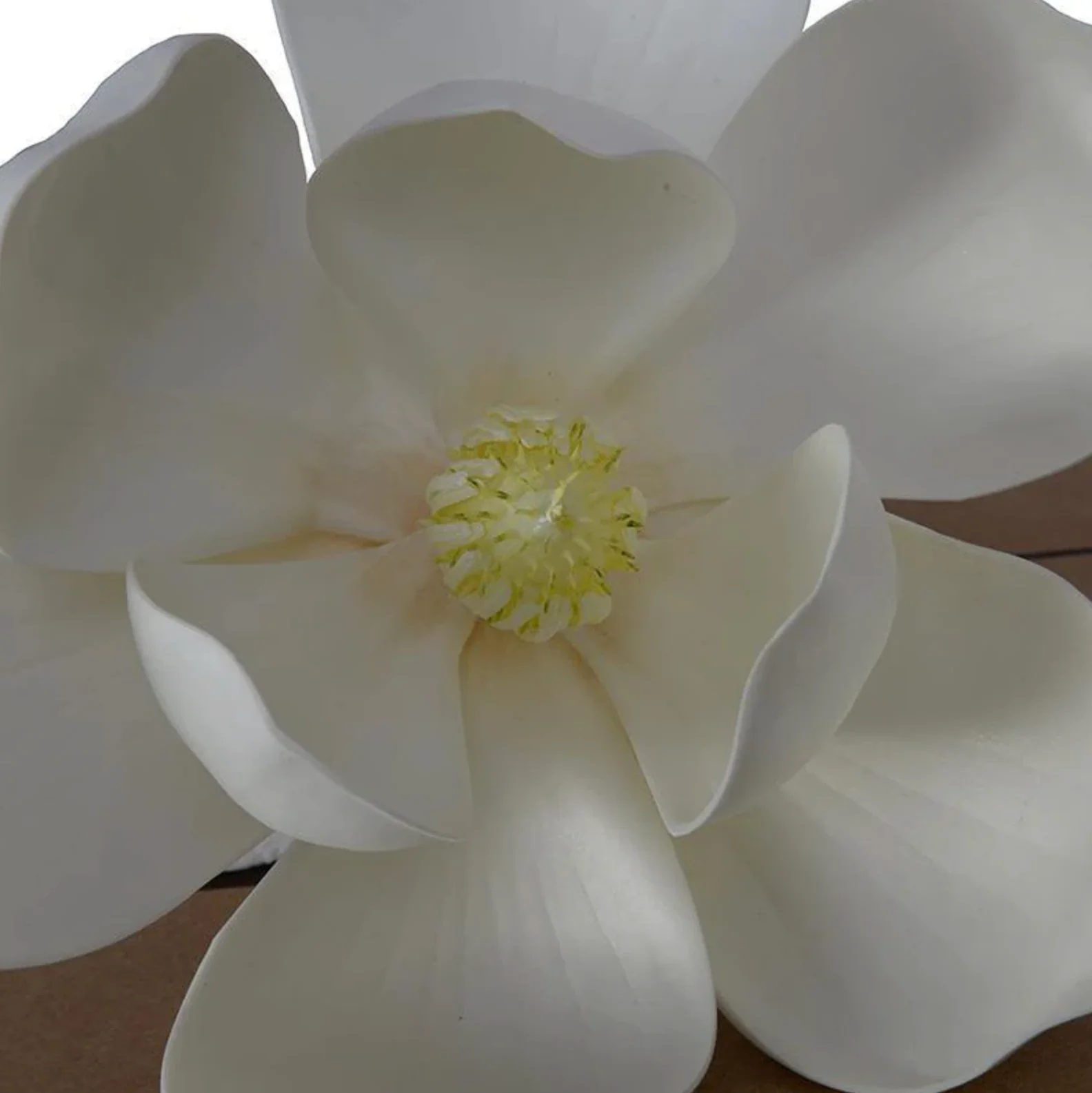 Magnolia Bloom - Image 2